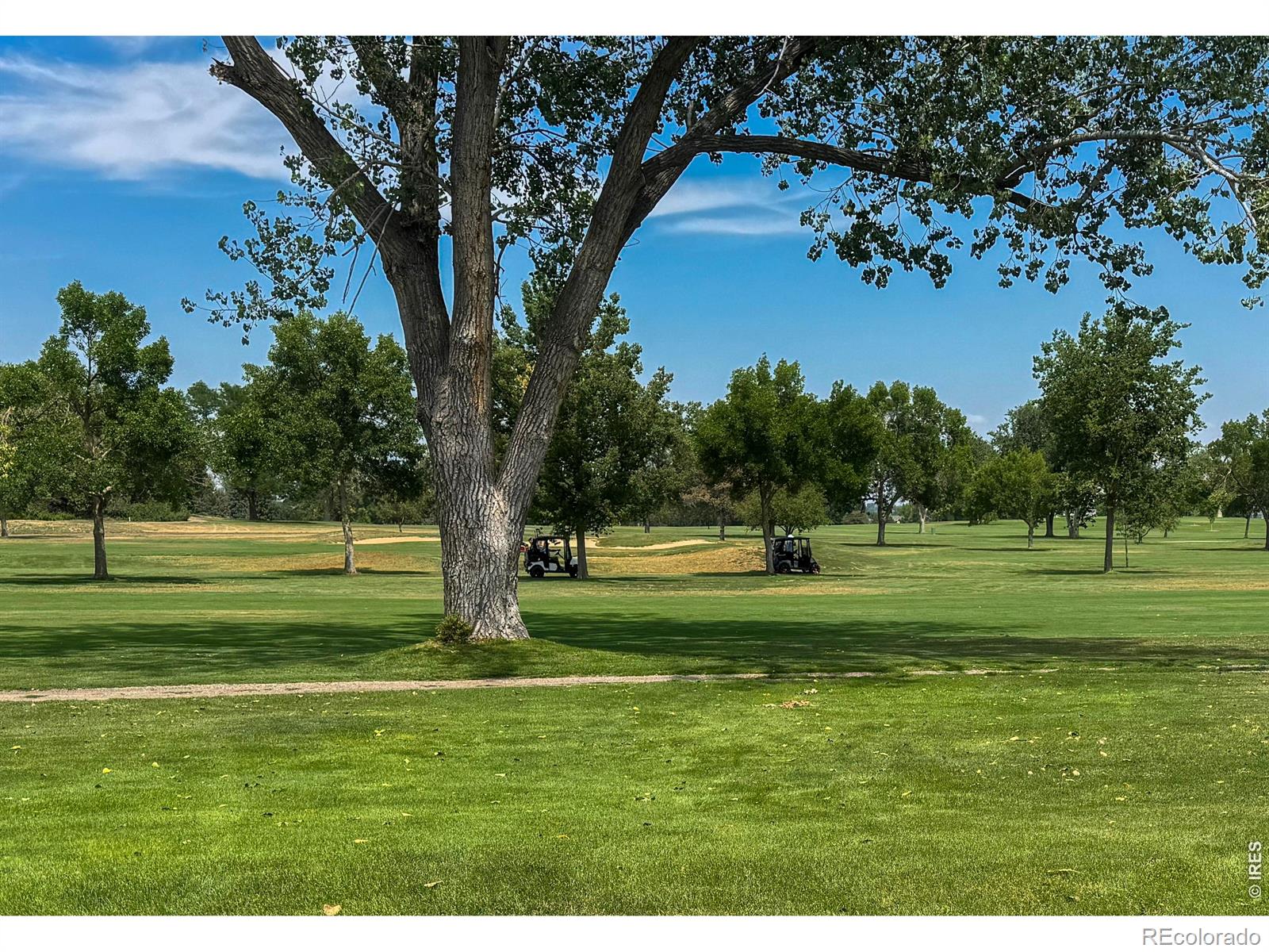MLS Image #46 for 619  crawford circle,longmont, Colorado
