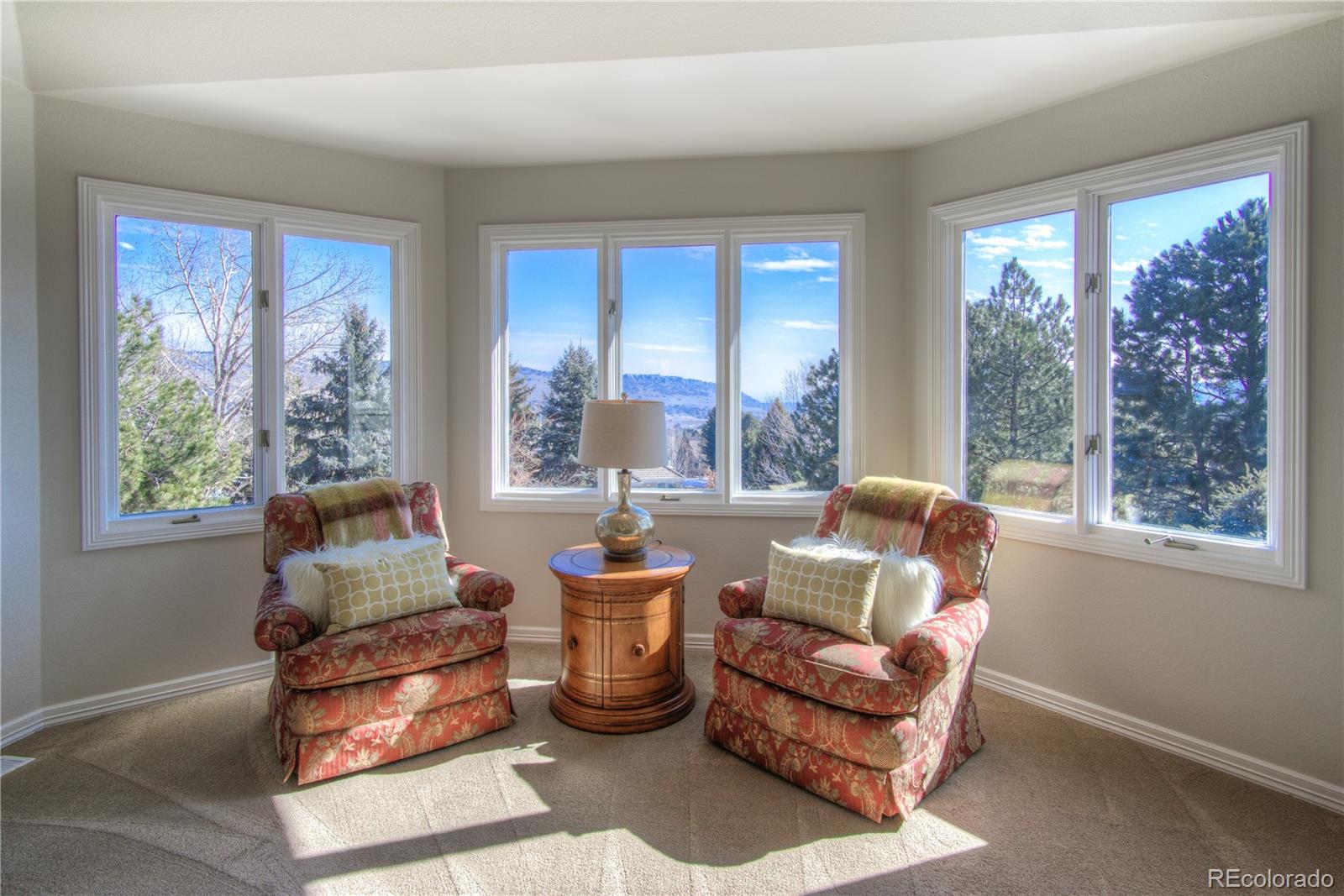 MLS Image #23 for 8  mountain willow drive,littleton, Colorado