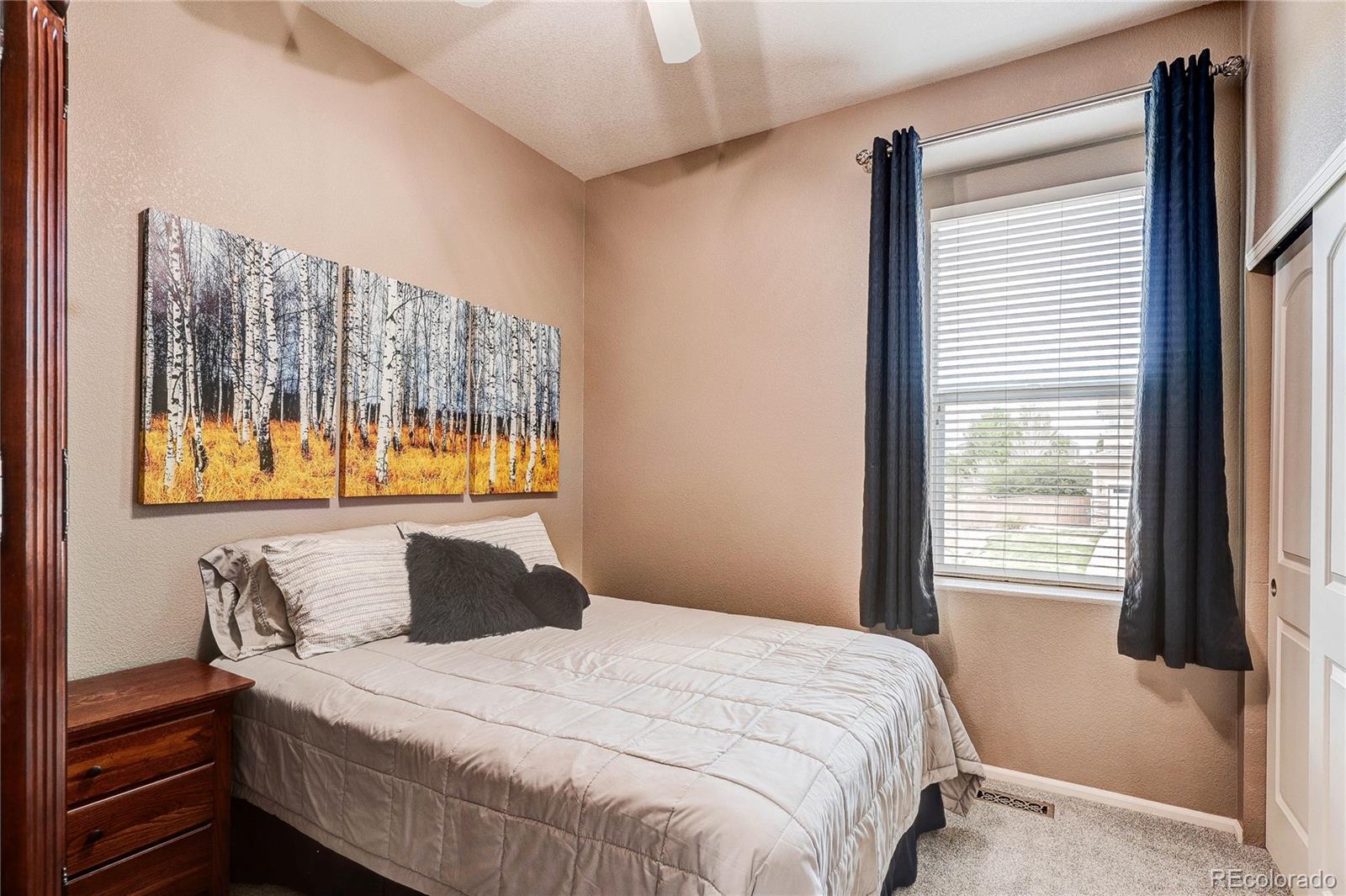 MLS Image #36 for 442  gardner street,castle rock, Colorado