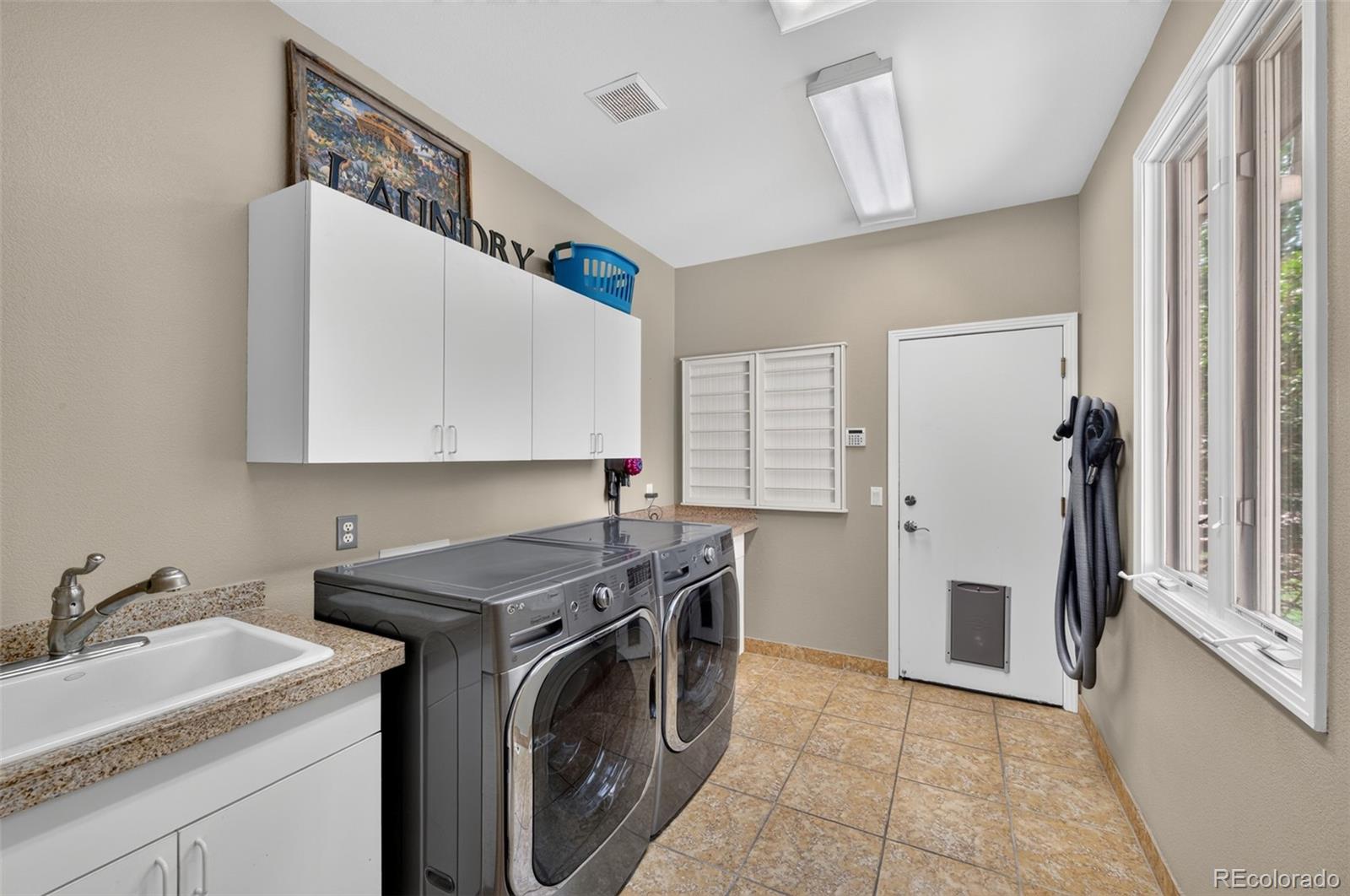MLS Image #18 for 2  bald eagle ,littleton, Colorado