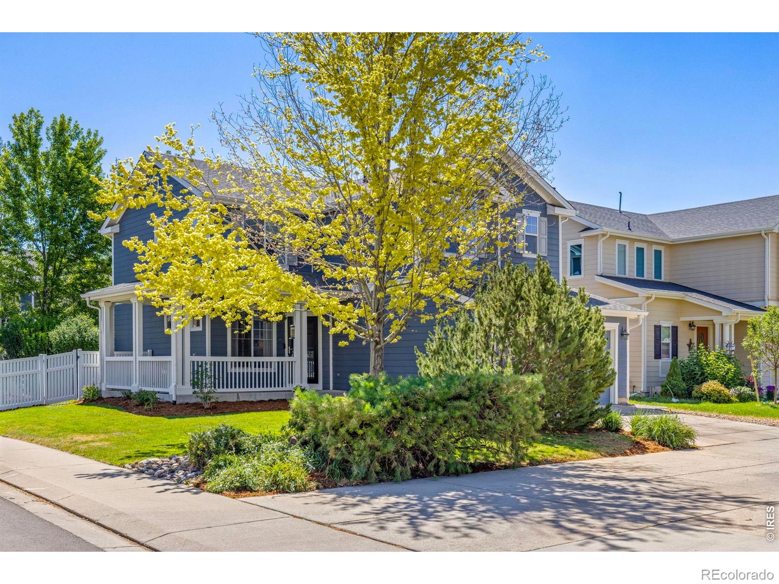 MLS Image #1 for 4227  san marco drive,longmont, Colorado