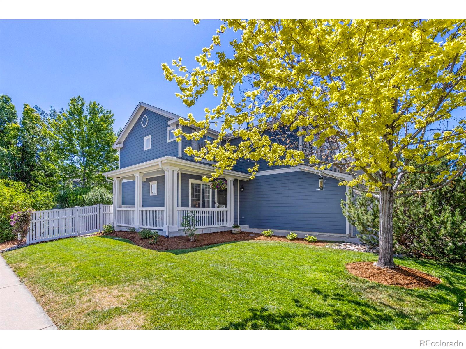MLS Image #2 for 4227  san marco drive,longmont, Colorado