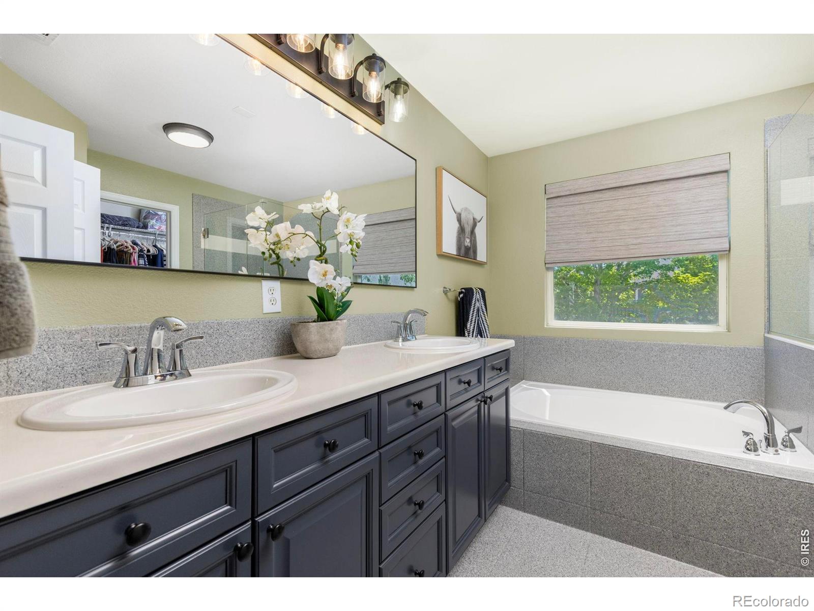 MLS Image #22 for 4227  san marco drive,longmont, Colorado