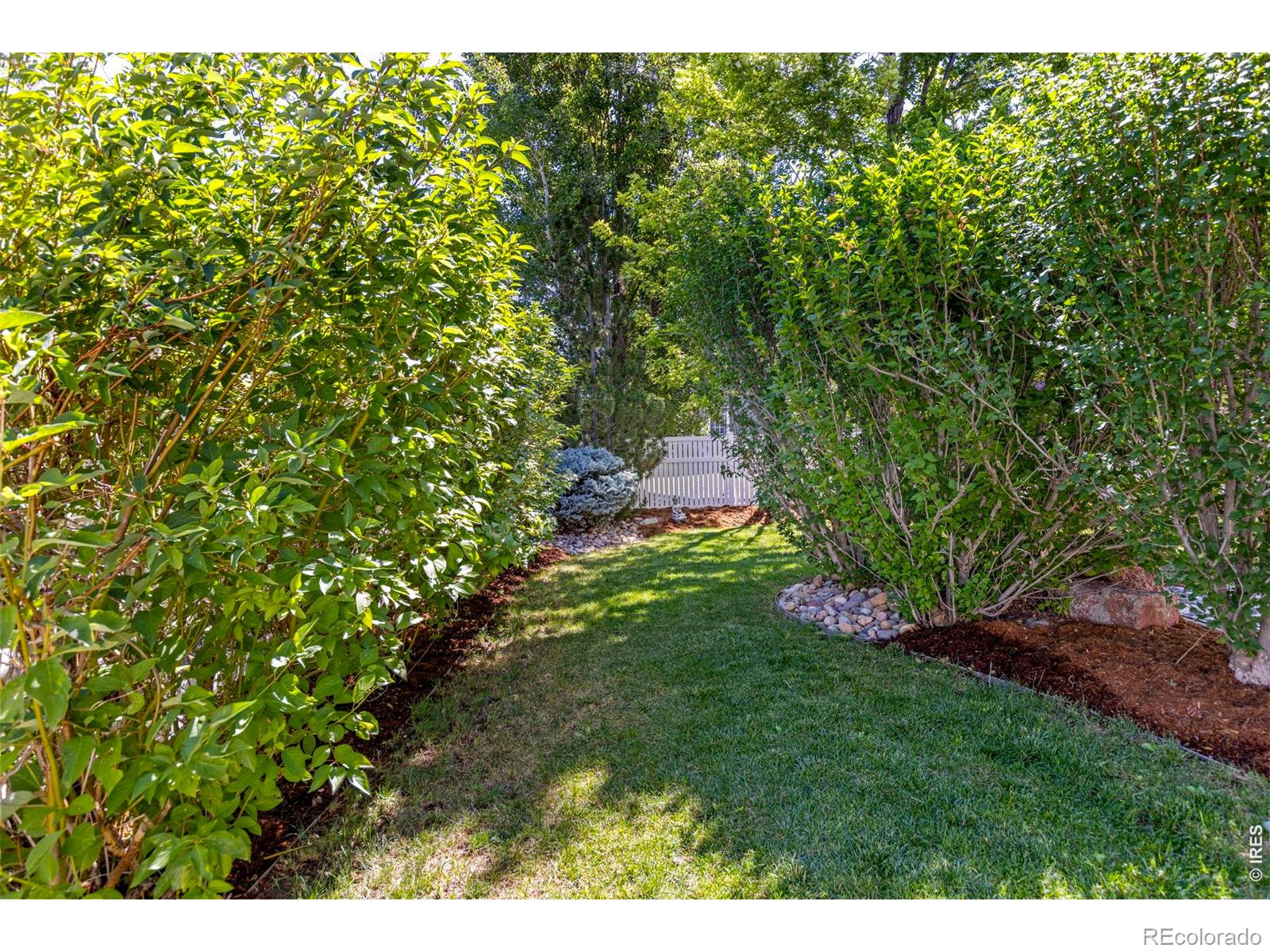 MLS Image #32 for 4227  san marco drive,longmont, Colorado