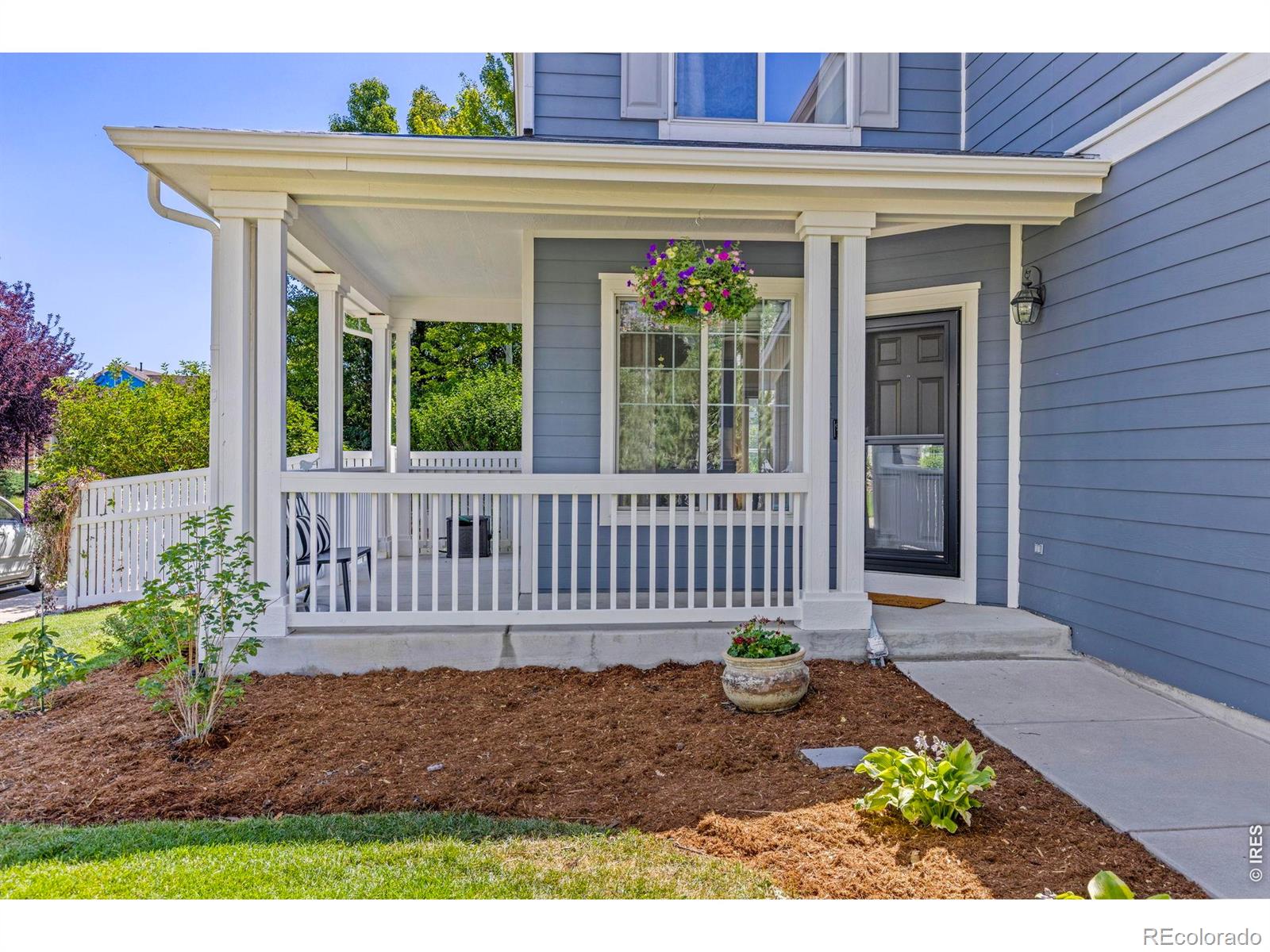 MLS Image #4 for 4227  san marco drive,longmont, Colorado