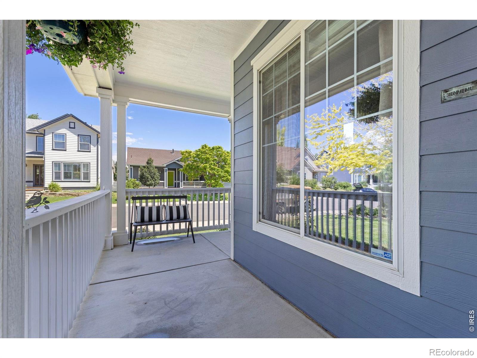 MLS Image #5 for 4227  san marco drive,longmont, Colorado