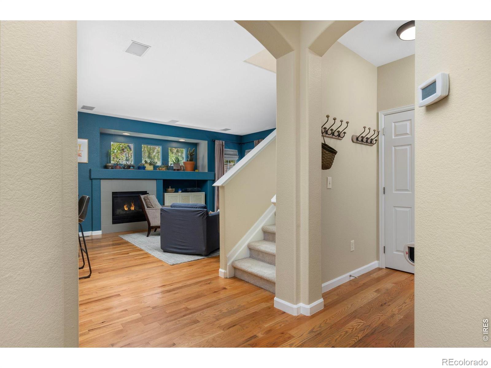 MLS Image #6 for 4227  san marco drive,longmont, Colorado