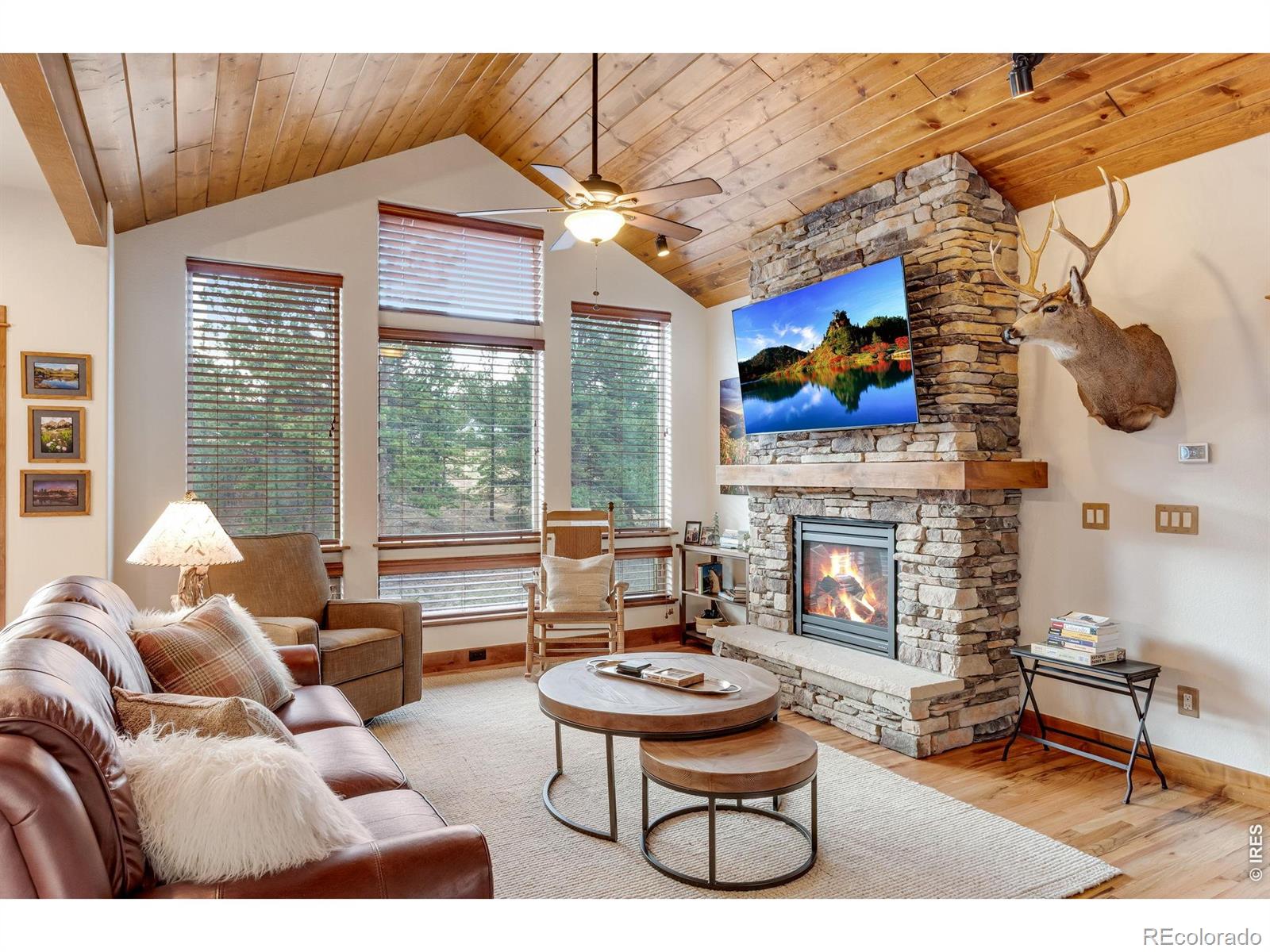 MLS Image #11 for 1127  fish creek road,estes park, Colorado