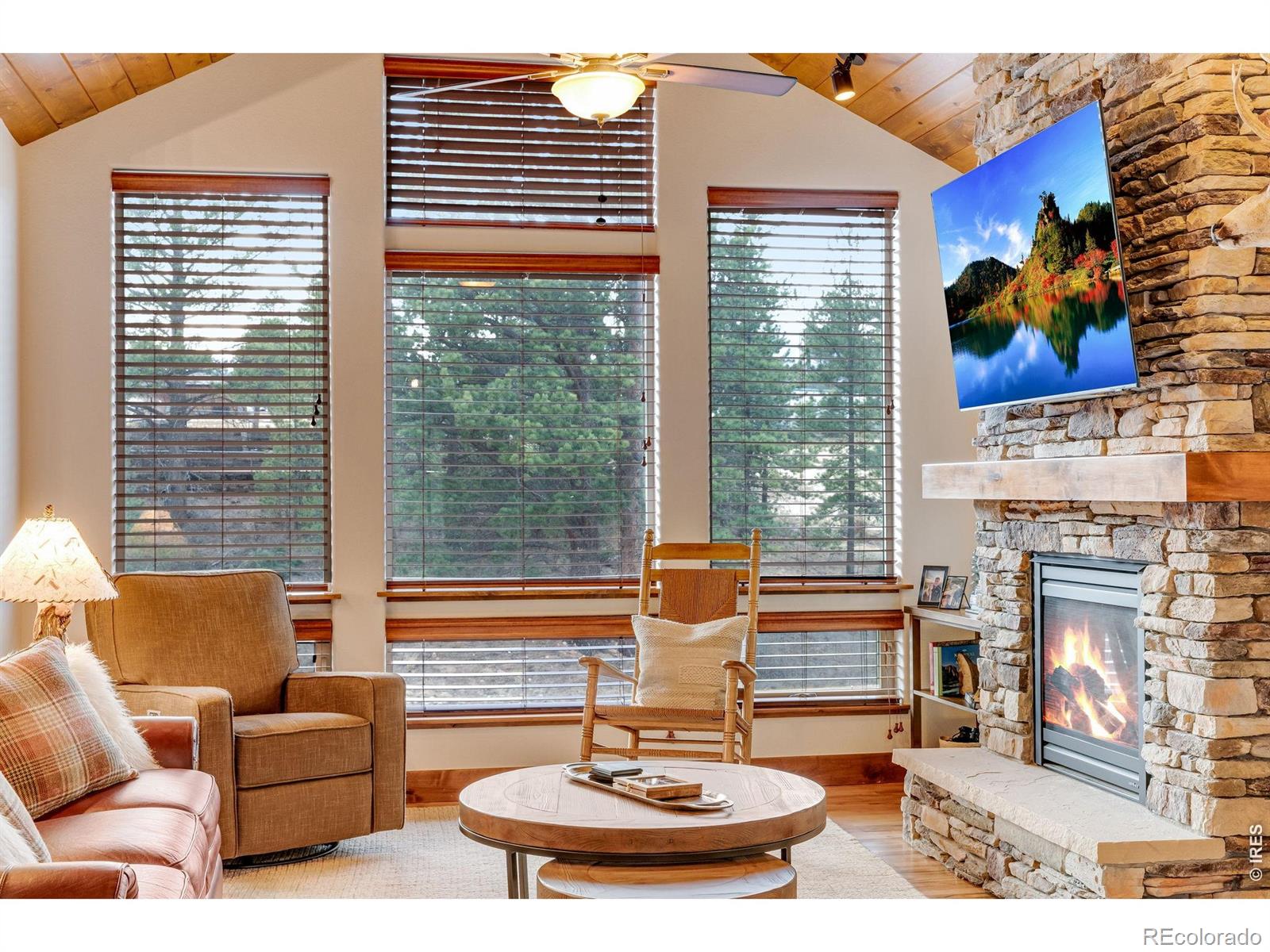 MLS Image #15 for 1127  fish creek road,estes park, Colorado