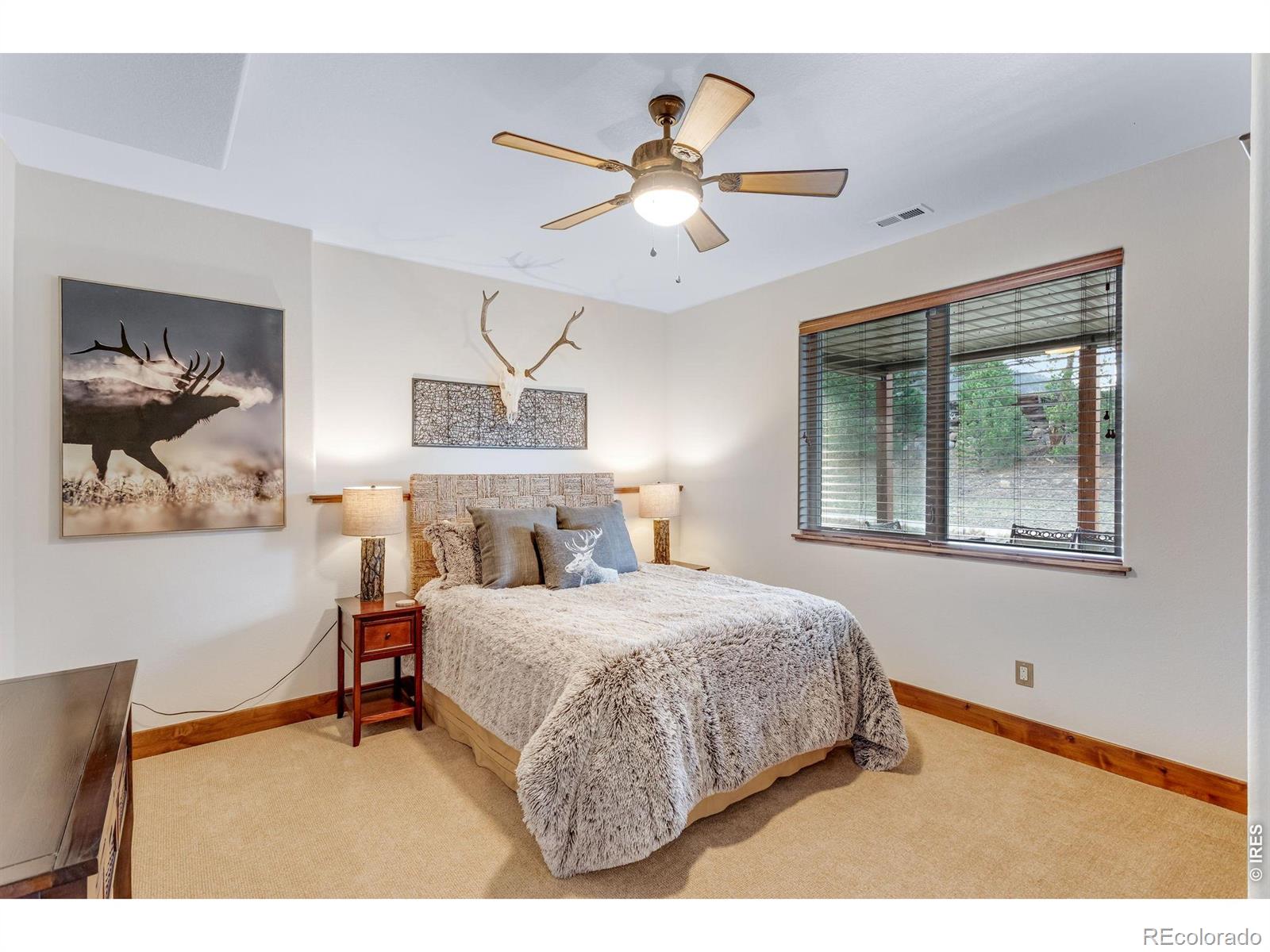 MLS Image #35 for 1127  fish creek road,estes park, Colorado