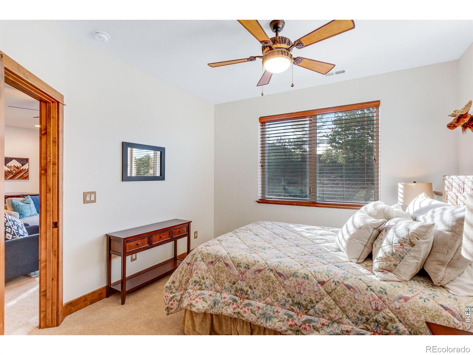 MLS Image #40 for 1127  fish creek road,estes park, Colorado