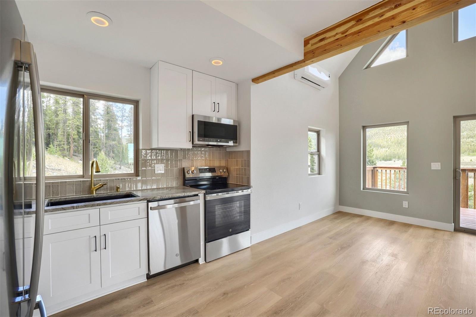 MLS Image #7 for 145  spruce street,alma, Colorado