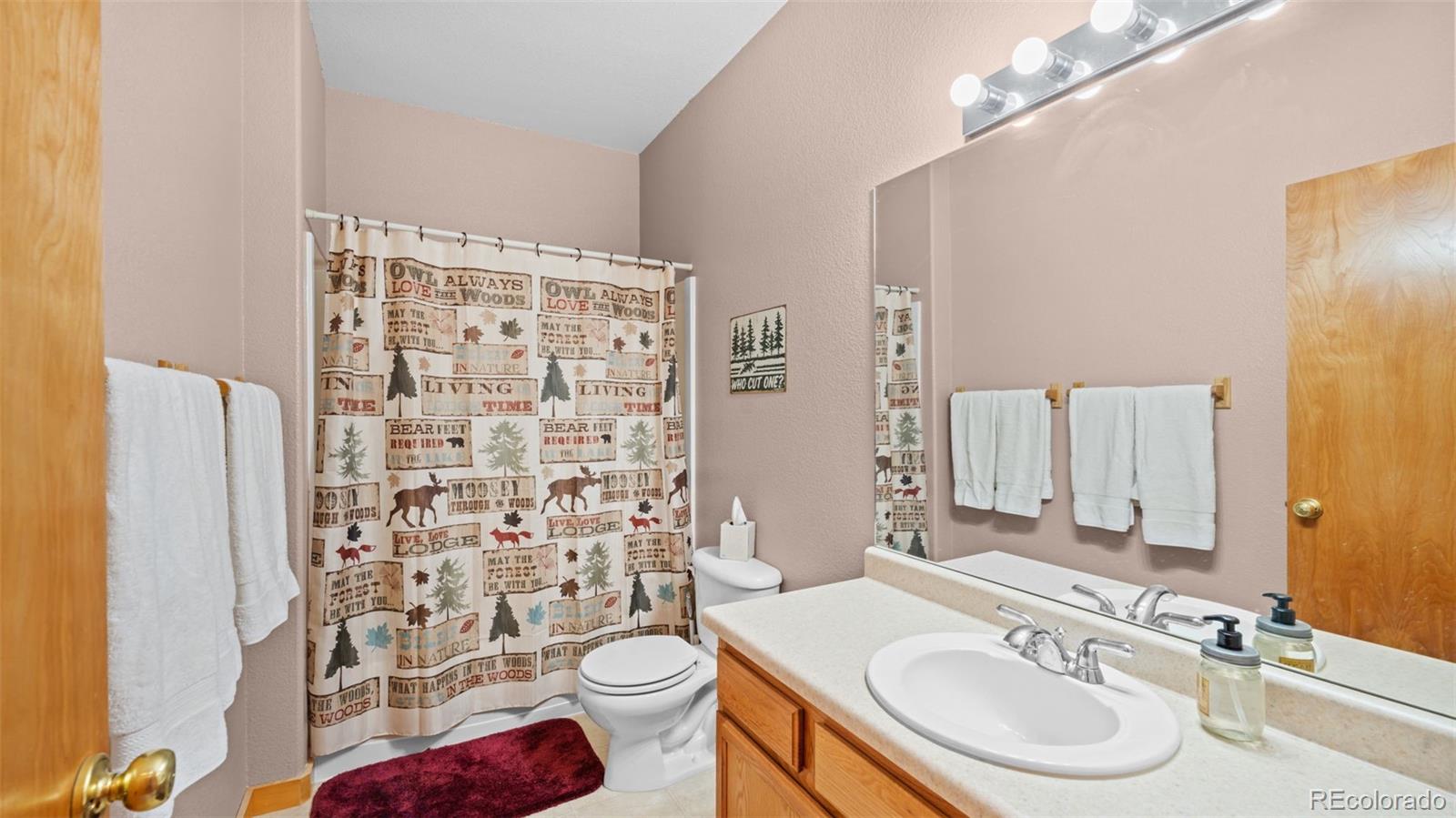 MLS Image #11 for 598  dandy jim drive,cripple creek, Colorado