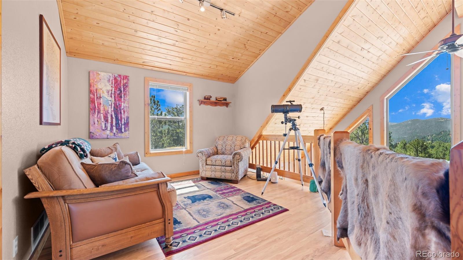 MLS Image #16 for 598  dandy jim drive,cripple creek, Colorado