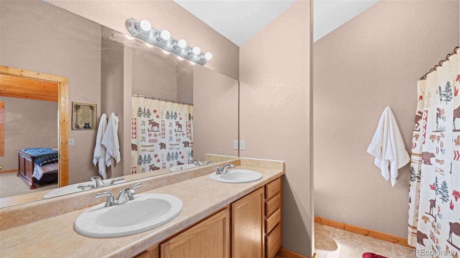 MLS Image #20 for 598  dandy jim drive,cripple creek, Colorado