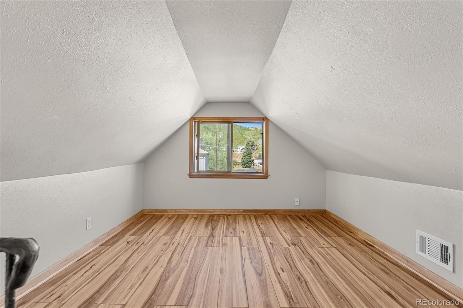 MLS Image #28 for 350  spring street,central city, Colorado