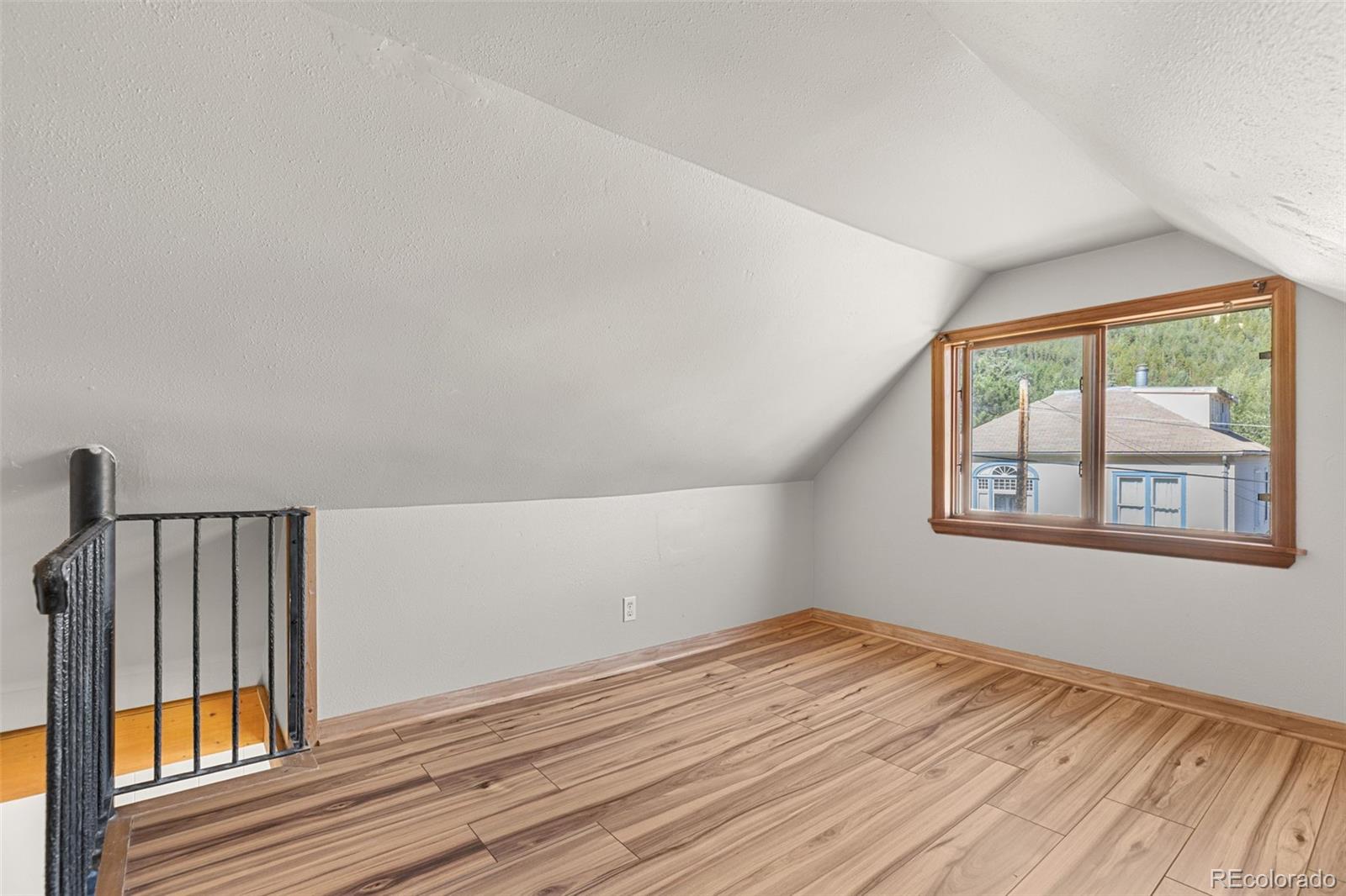MLS Image #29 for 350  spring street,central city, Colorado