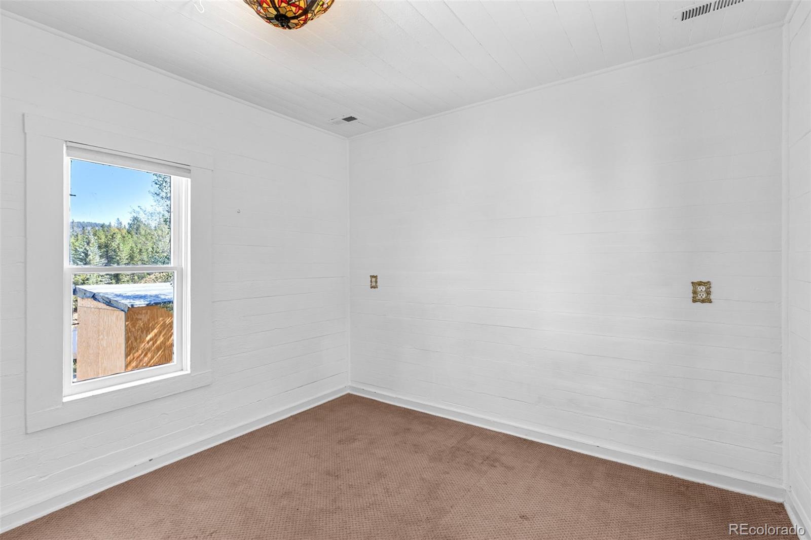 MLS Image #46 for 350  spring street,central city, Colorado