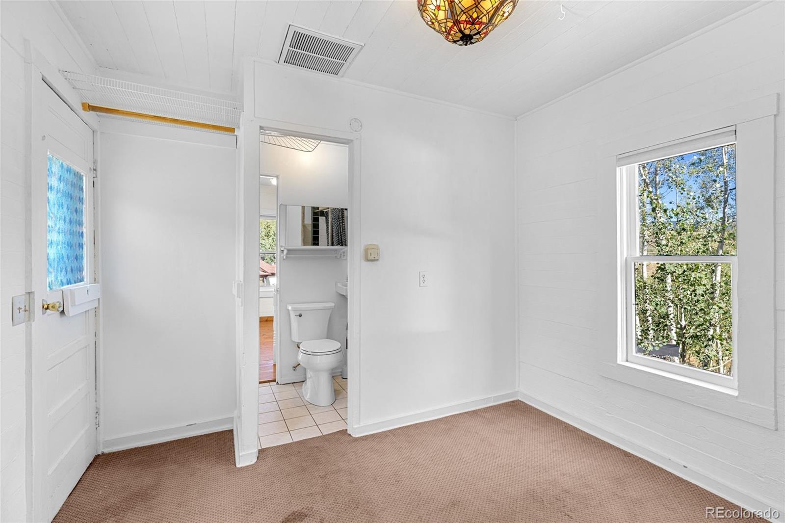 MLS Image #47 for 350  spring street,central city, Colorado