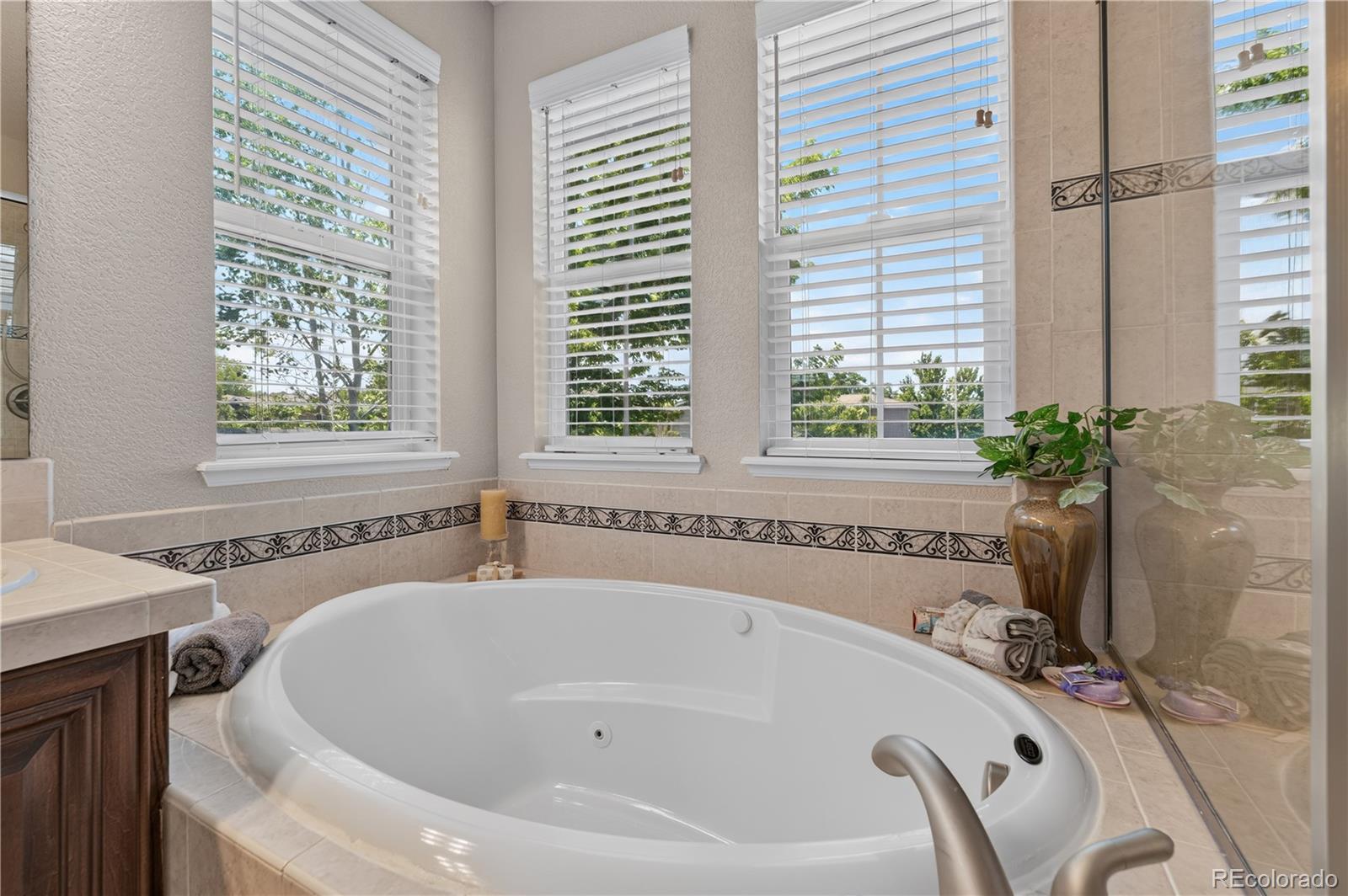 MLS Image #22 for 10802  cedar brook street,littleton, Colorado