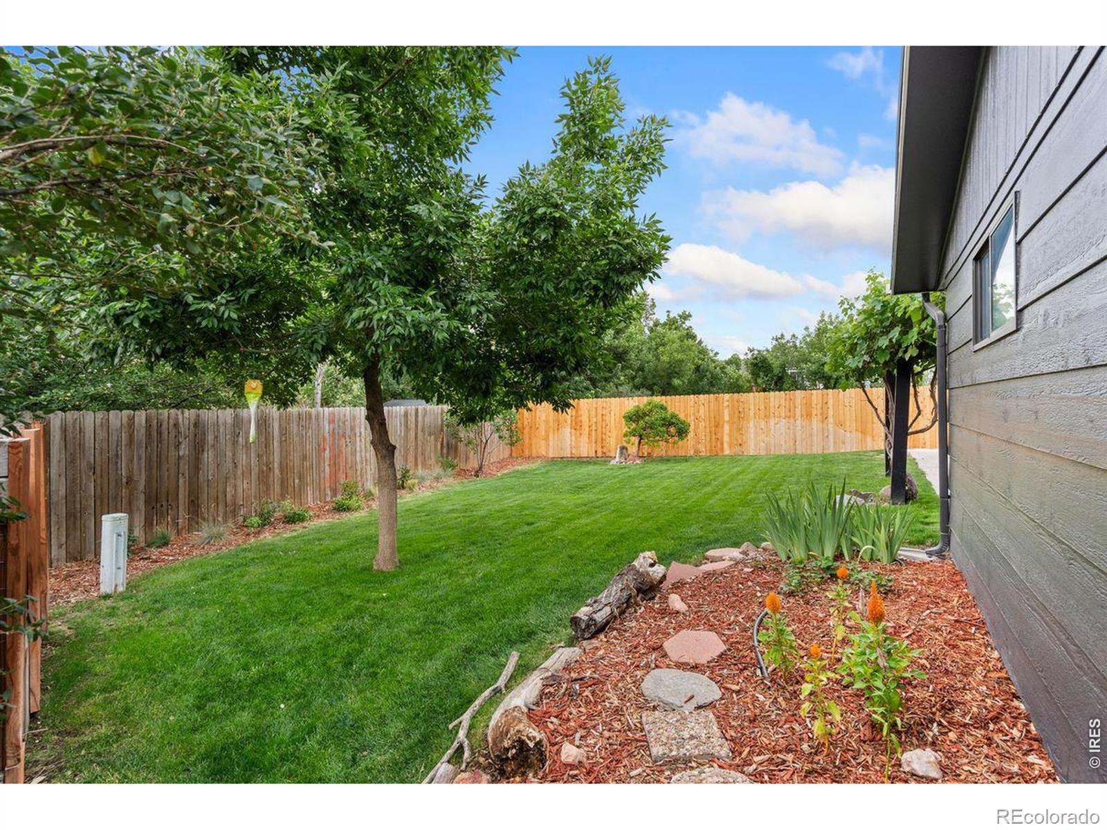 MLS Image #30 for 2413  cheviot drive,fort collins, Colorado
