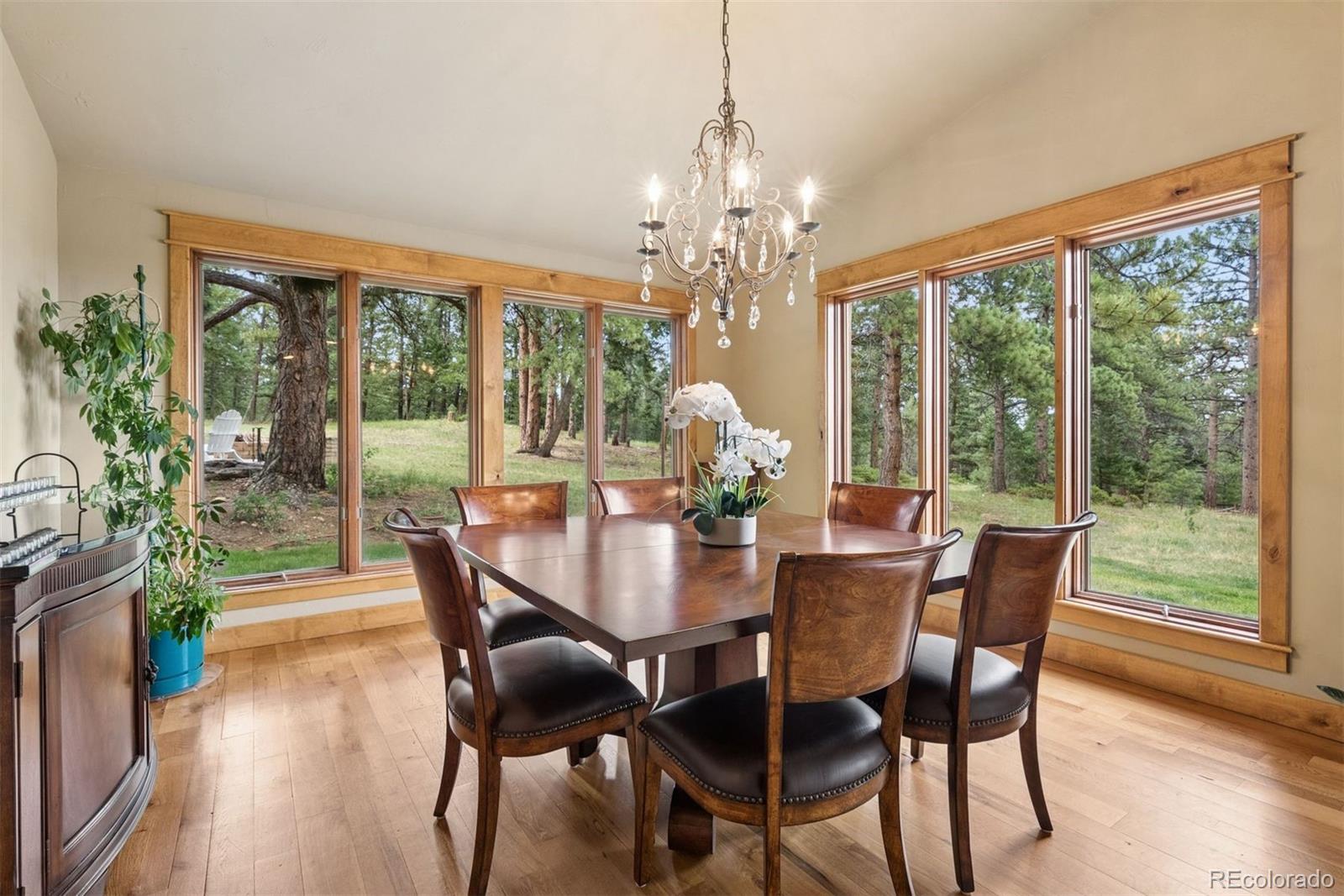 MLS Image #10 for 32721  meadow mountain road,evergreen, Colorado