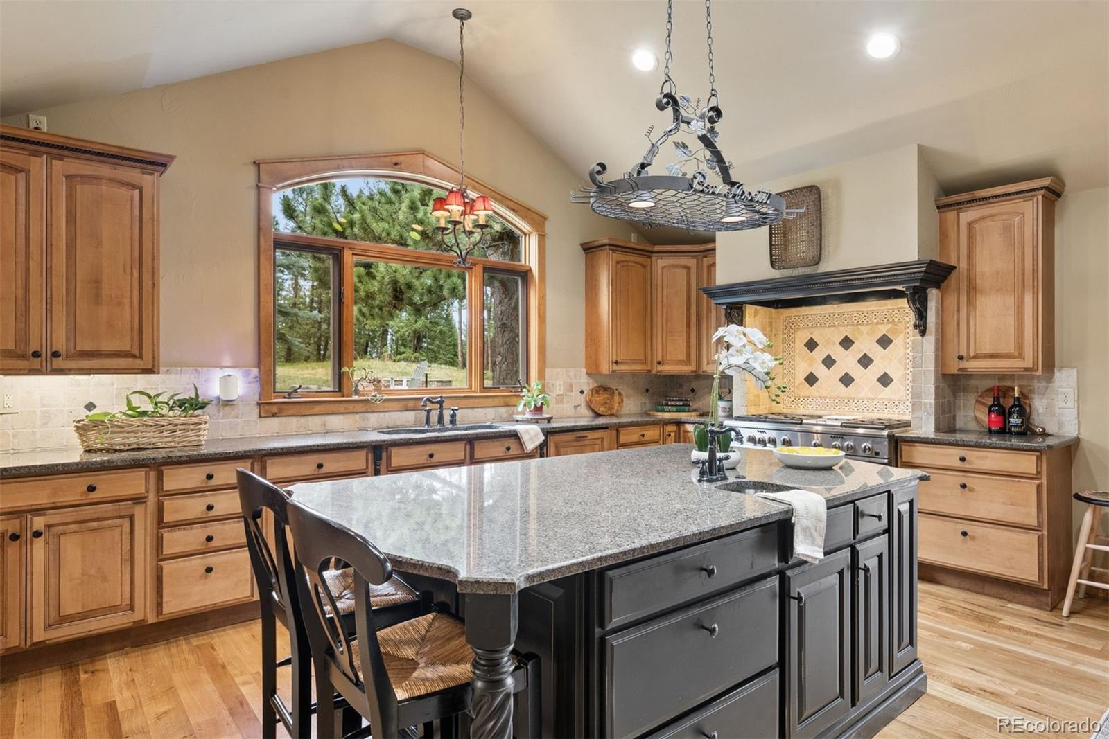 MLS Image #17 for 32721  meadow mountain road,evergreen, Colorado