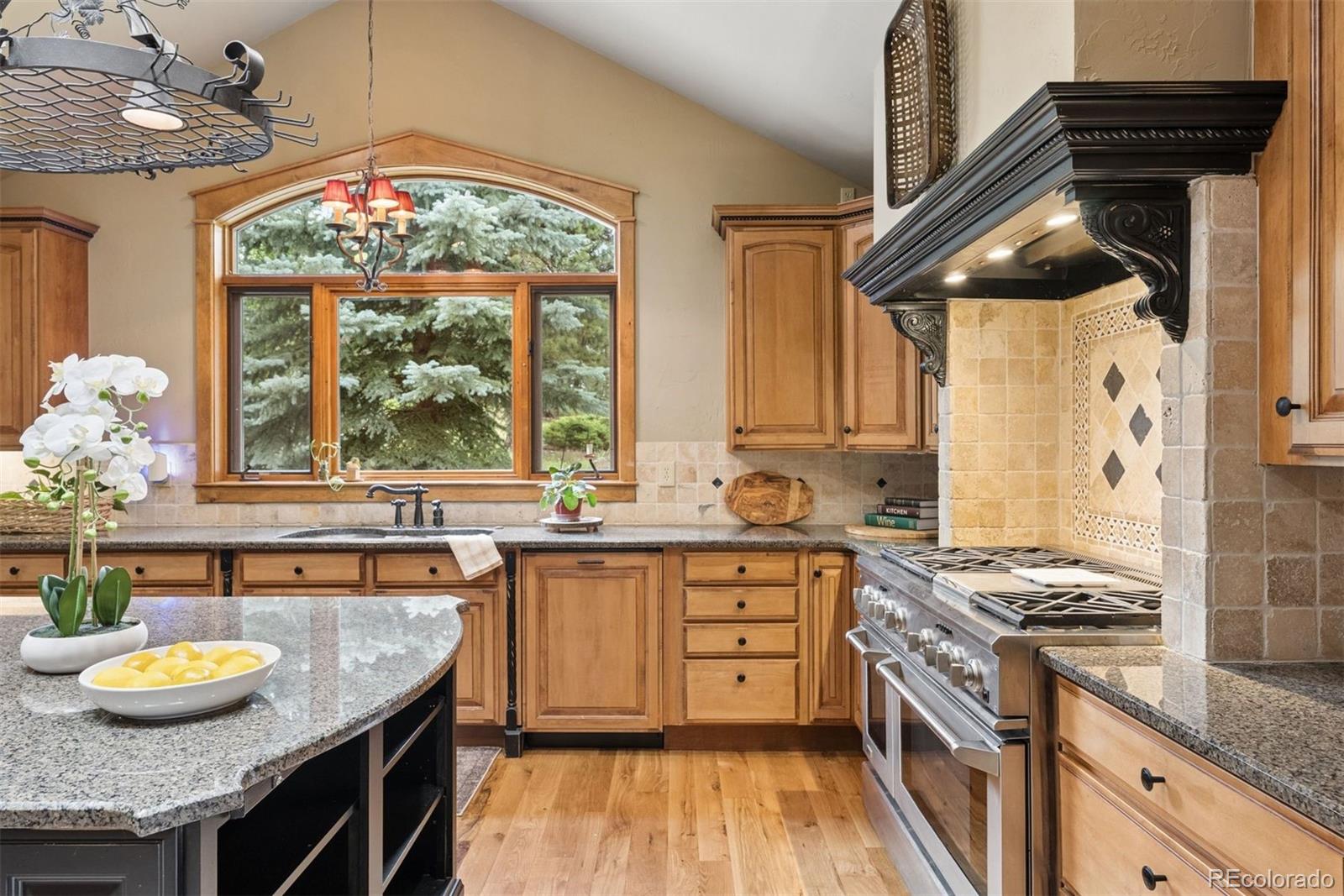 MLS Image #18 for 32721  meadow mountain road,evergreen, Colorado
