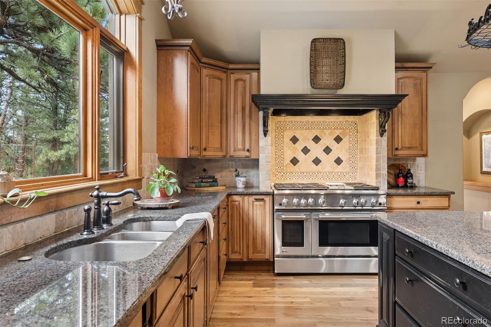 MLS Image #19 for 32721  meadow mountain road,evergreen, Colorado