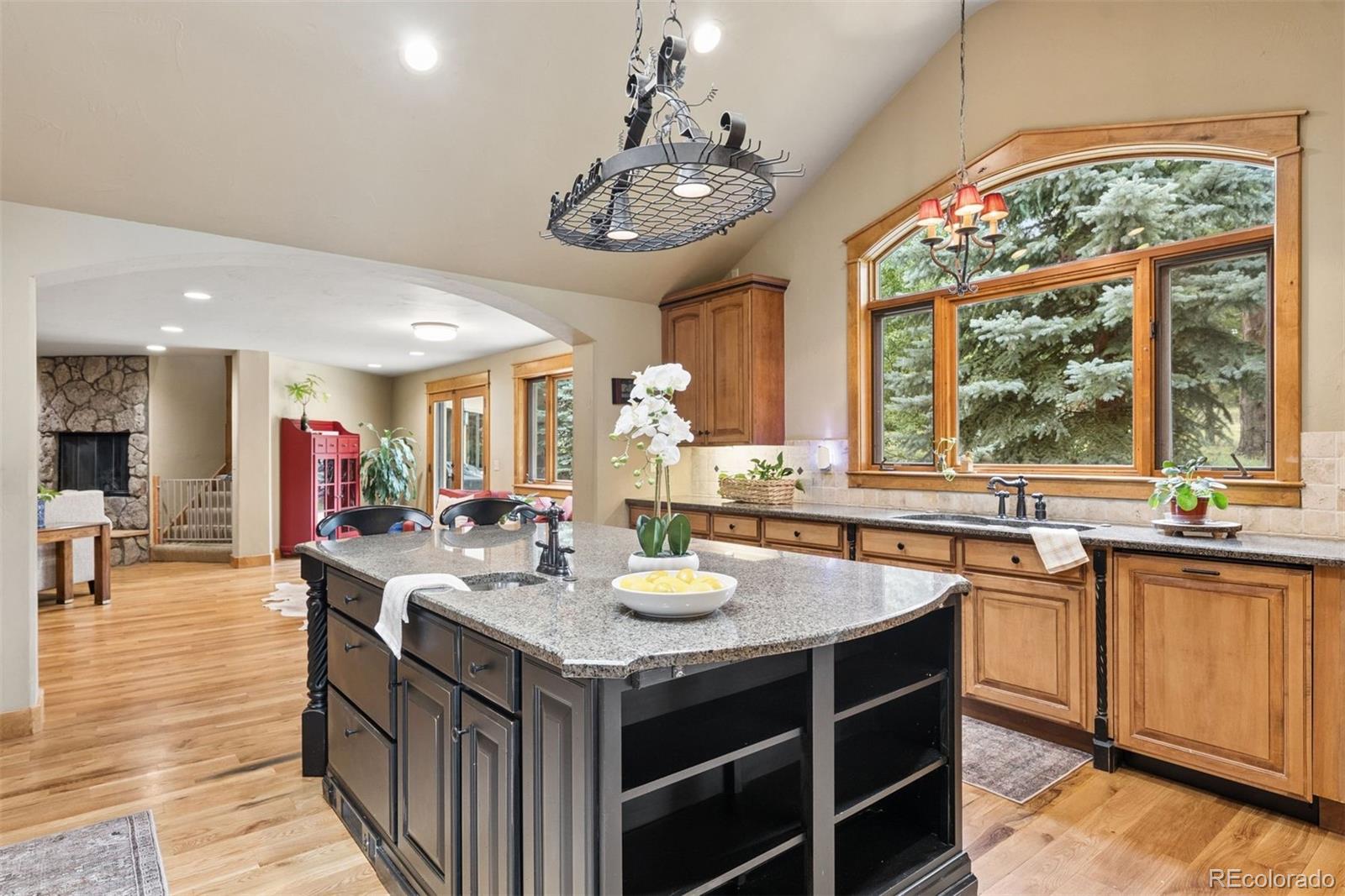 MLS Image #20 for 32721  meadow mountain road,evergreen, Colorado