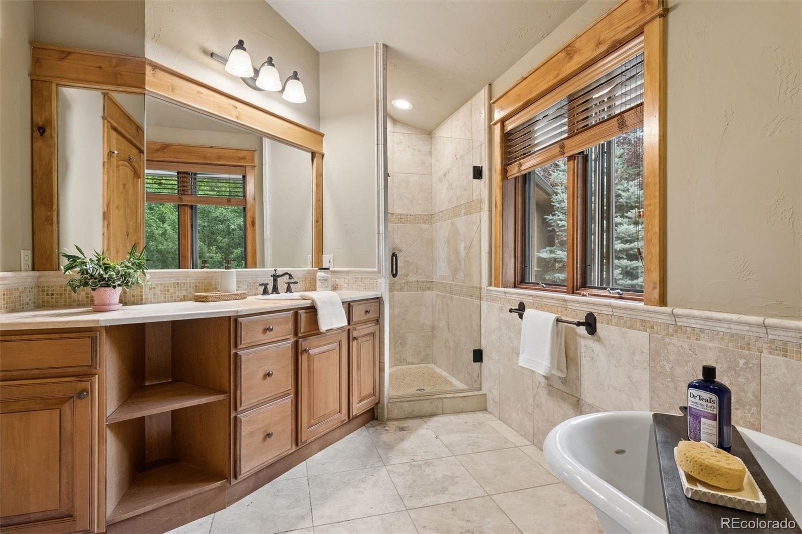 MLS Image #33 for 32721  meadow mountain road,evergreen, Colorado