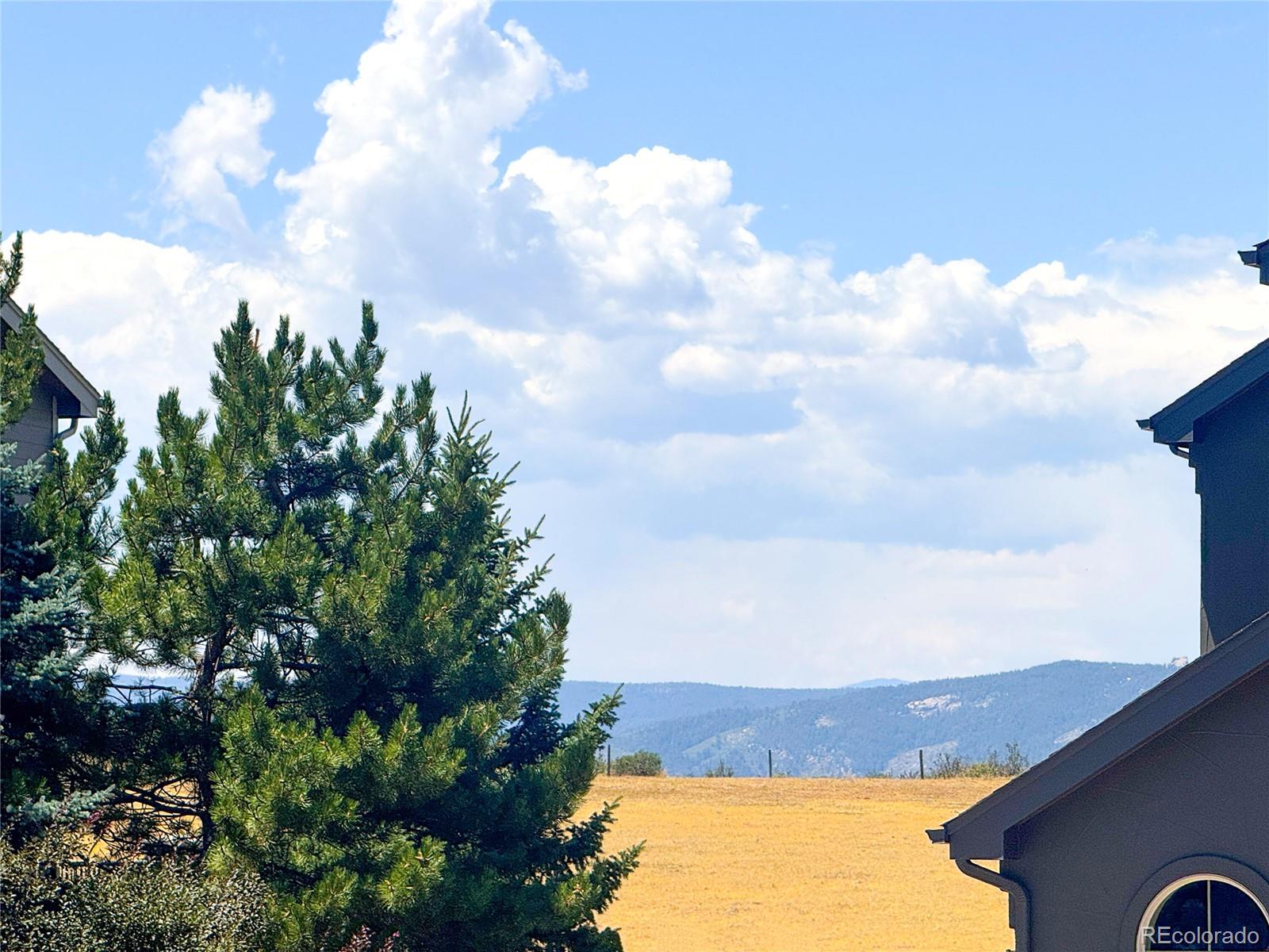 MLS Image #6 for 2922  breezy lane,castle rock, Colorado