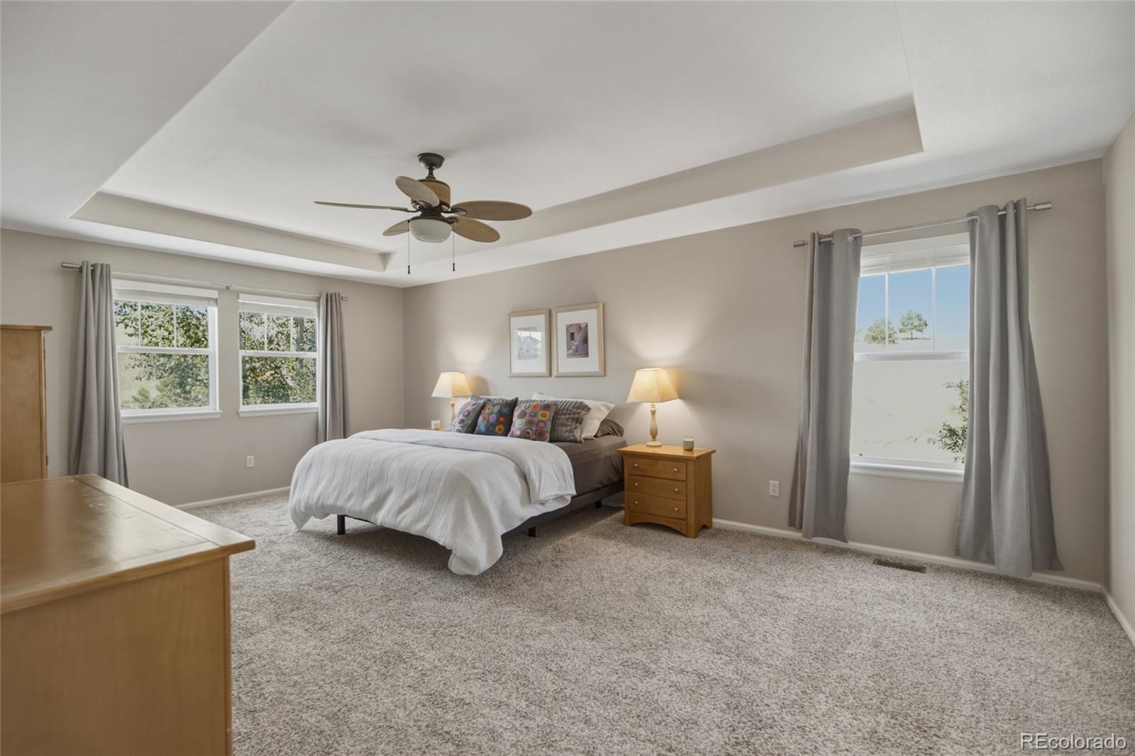 MLS Image #21 for 3668  springmeadow circle,castle rock, Colorado