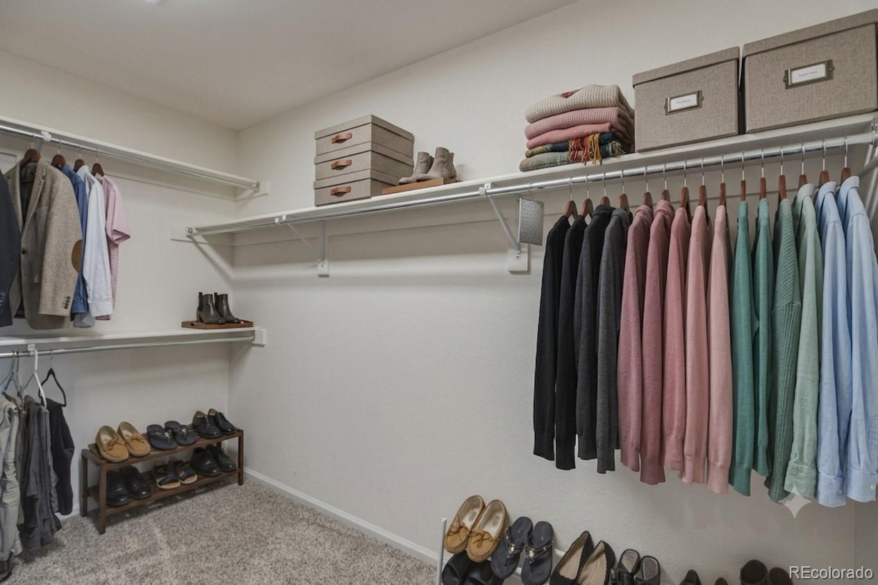 MLS Image #23 for 3668  springmeadow circle,castle rock, Colorado