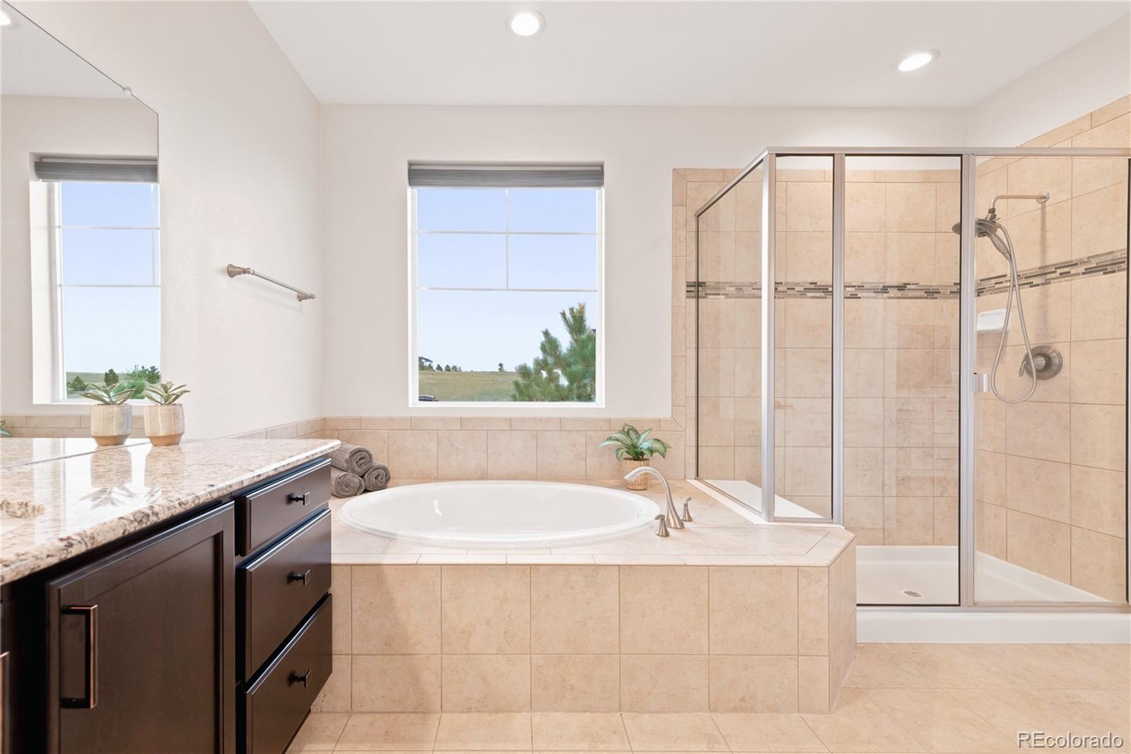 MLS Image #20 for 2504  elkhorn ranch street,parker, Colorado
