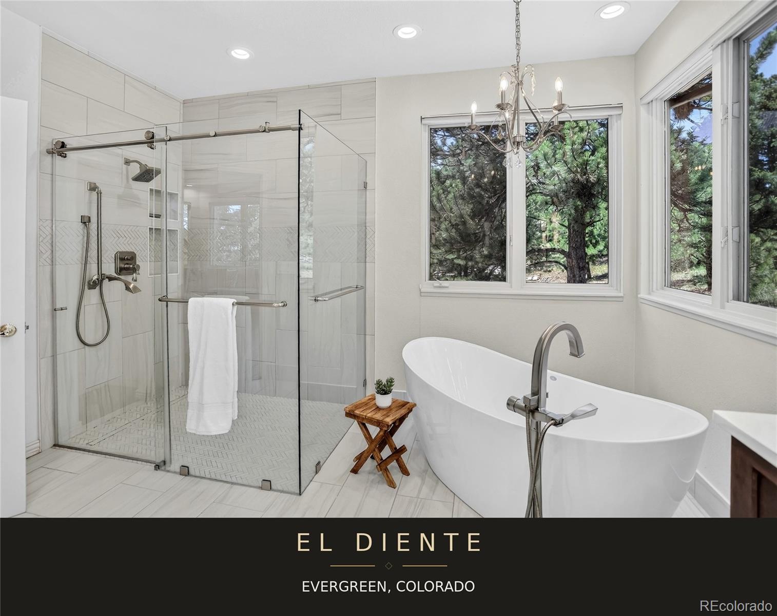 MLS Image #15 for 32469  el diente court,evergreen, Colorado
