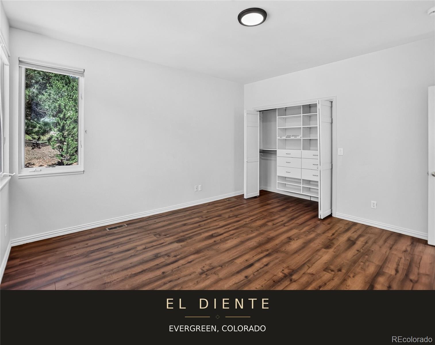 MLS Image #17 for 32469  el diente court,evergreen, Colorado
