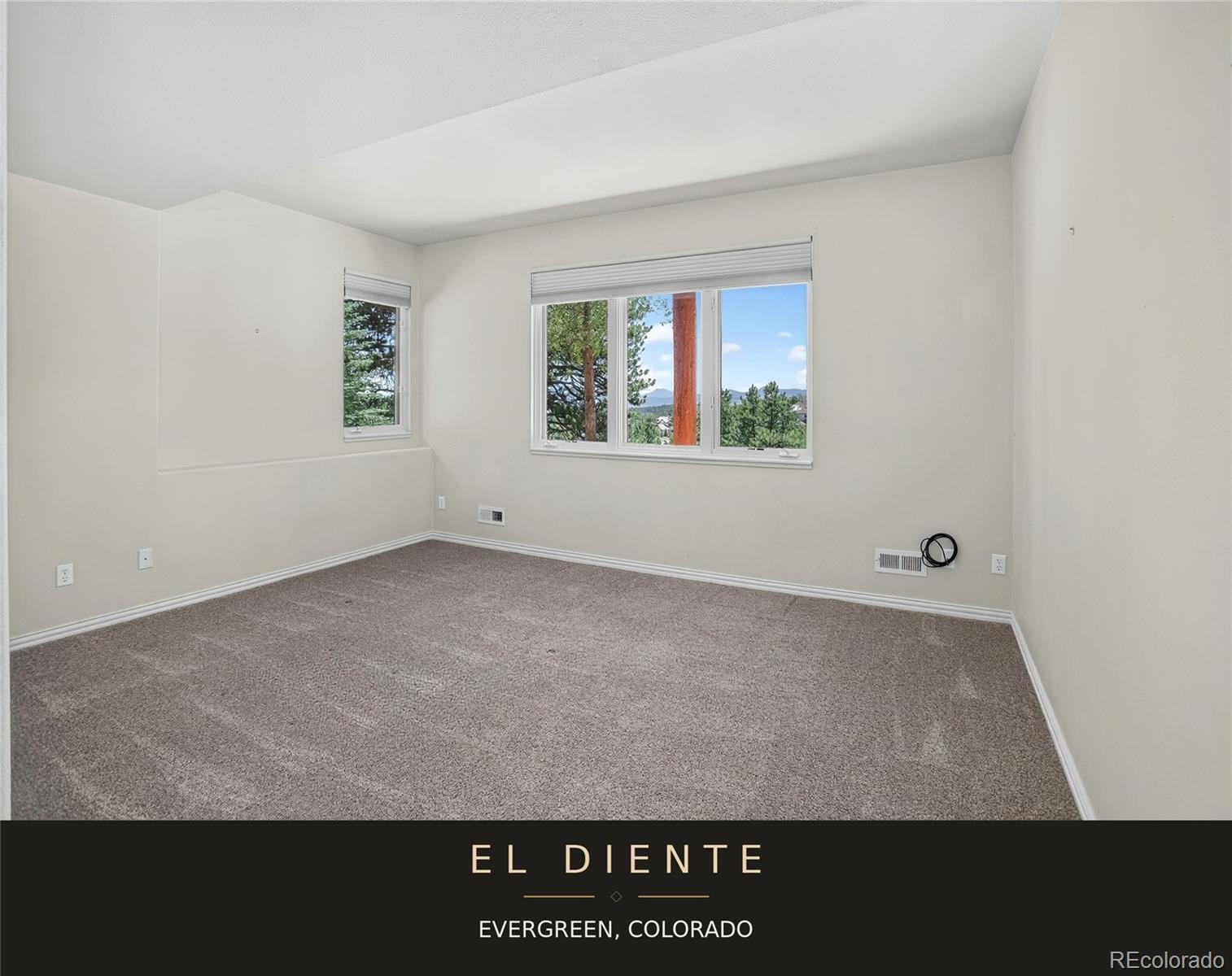 MLS Image #23 for 32469  el diente court,evergreen, Colorado