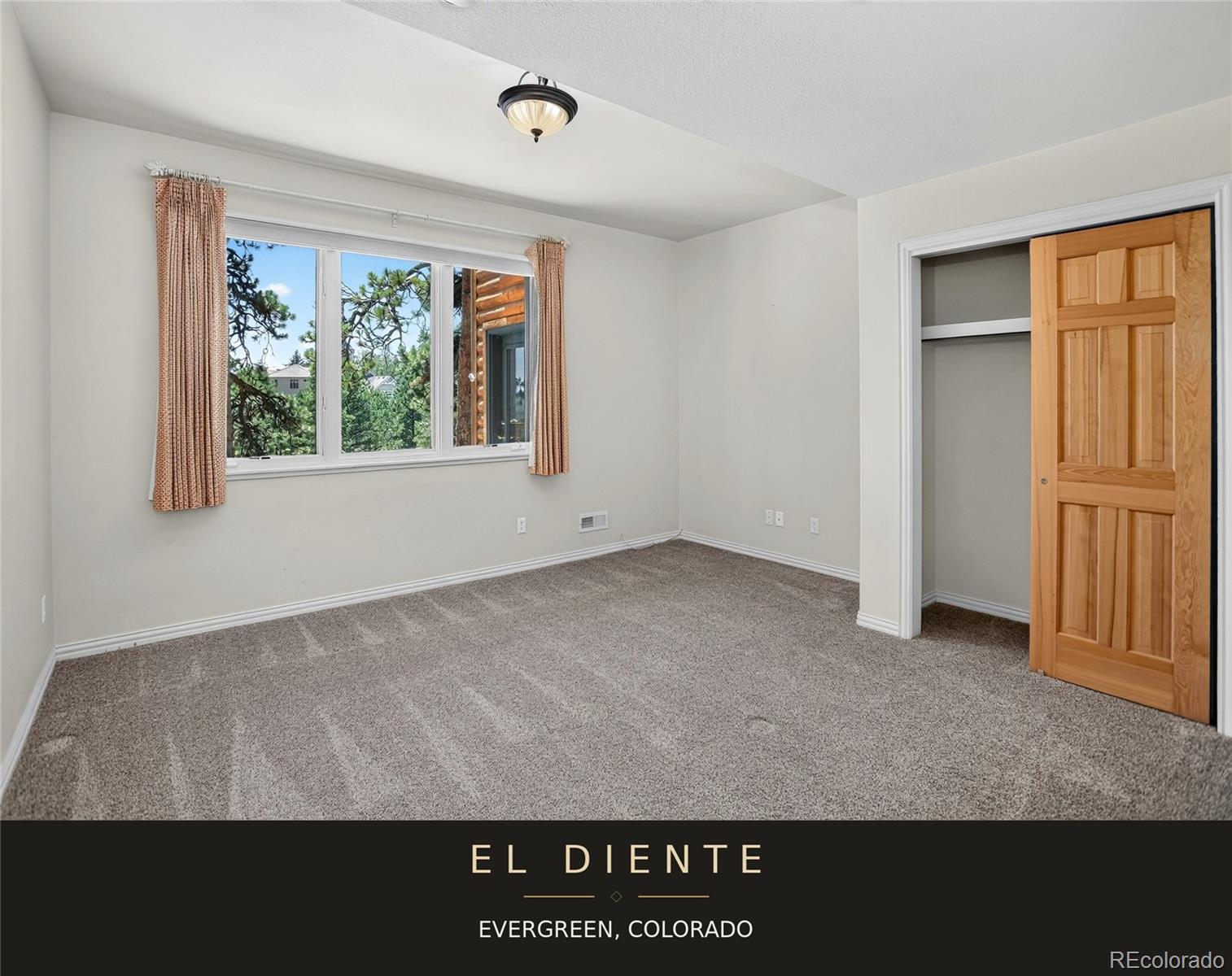 MLS Image #24 for 32469  el diente court,evergreen, Colorado