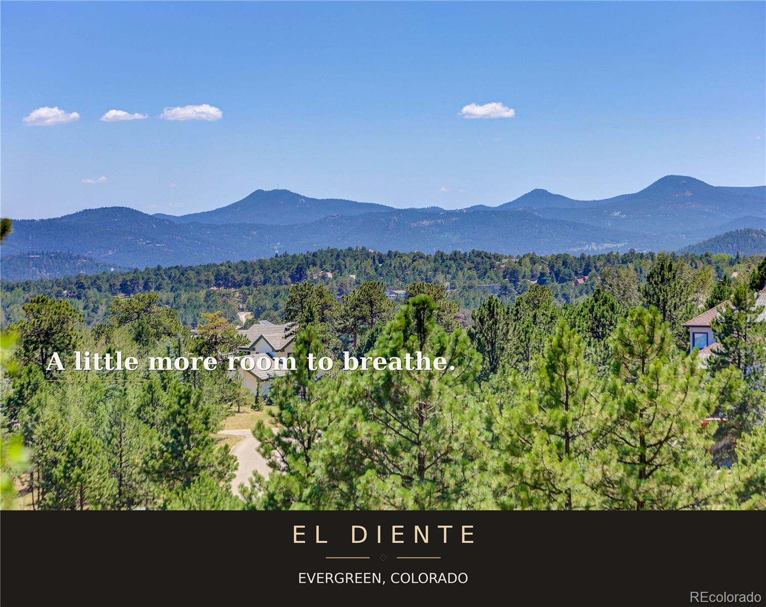 MLS Image #29 for 32469  el diente court,evergreen, Colorado