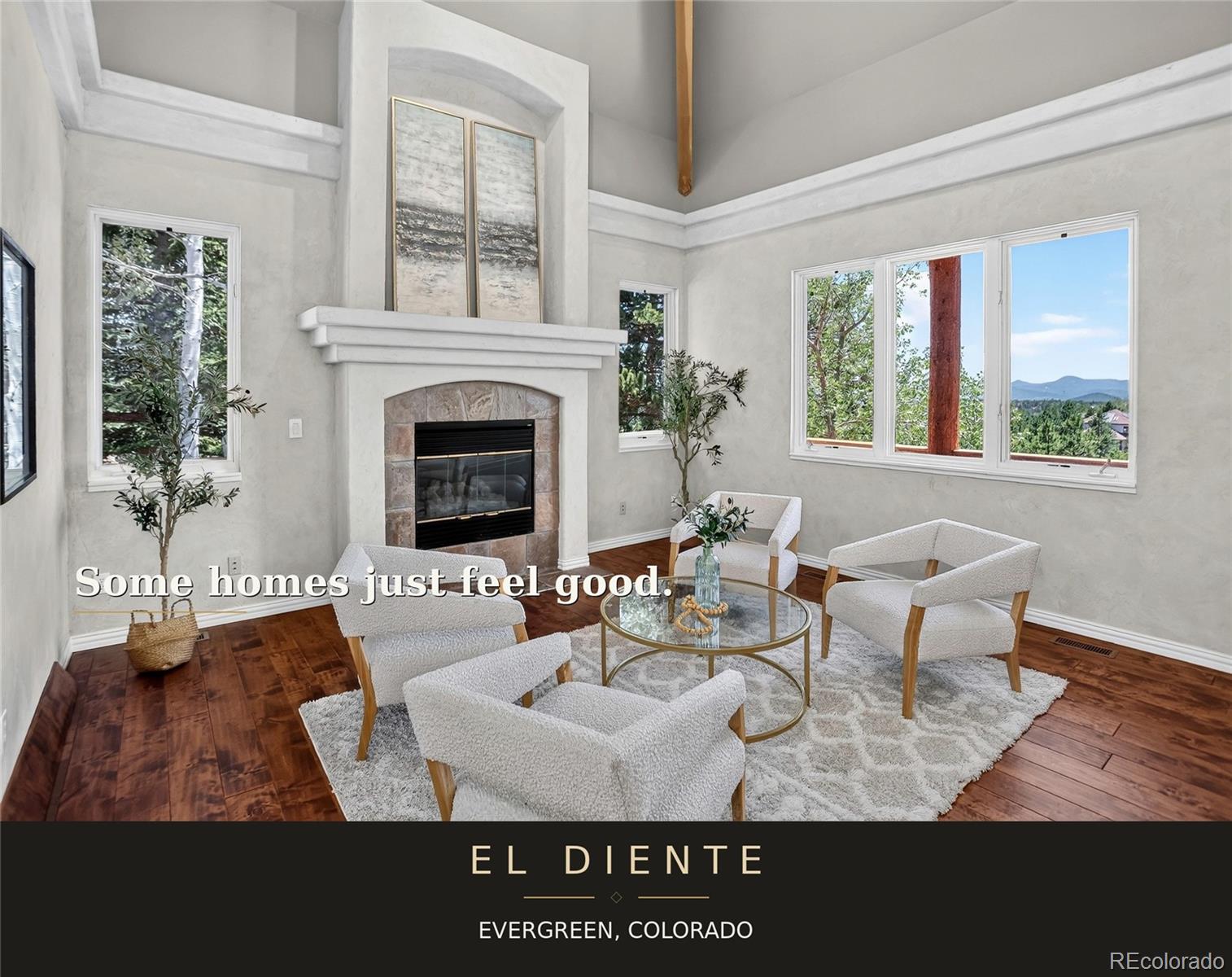 MLS Image #3 for 32469  el diente court,evergreen, Colorado