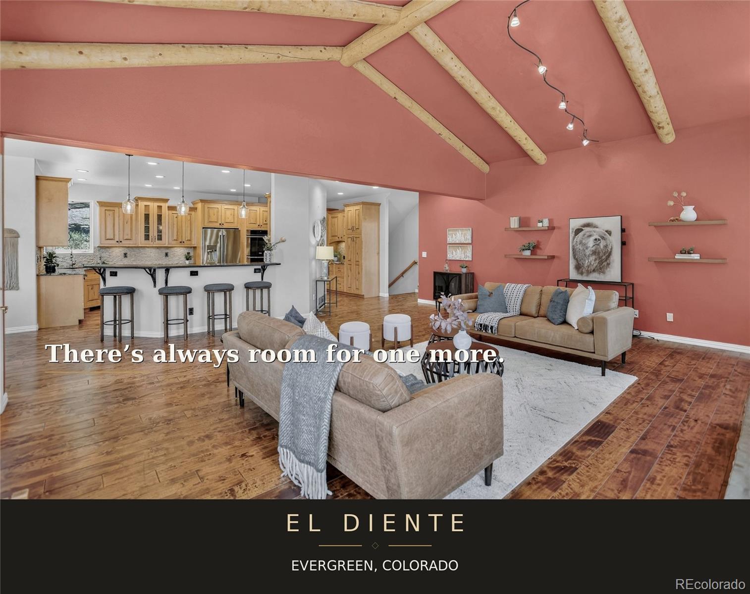MLS Image #9 for 32469  el diente court,evergreen, Colorado