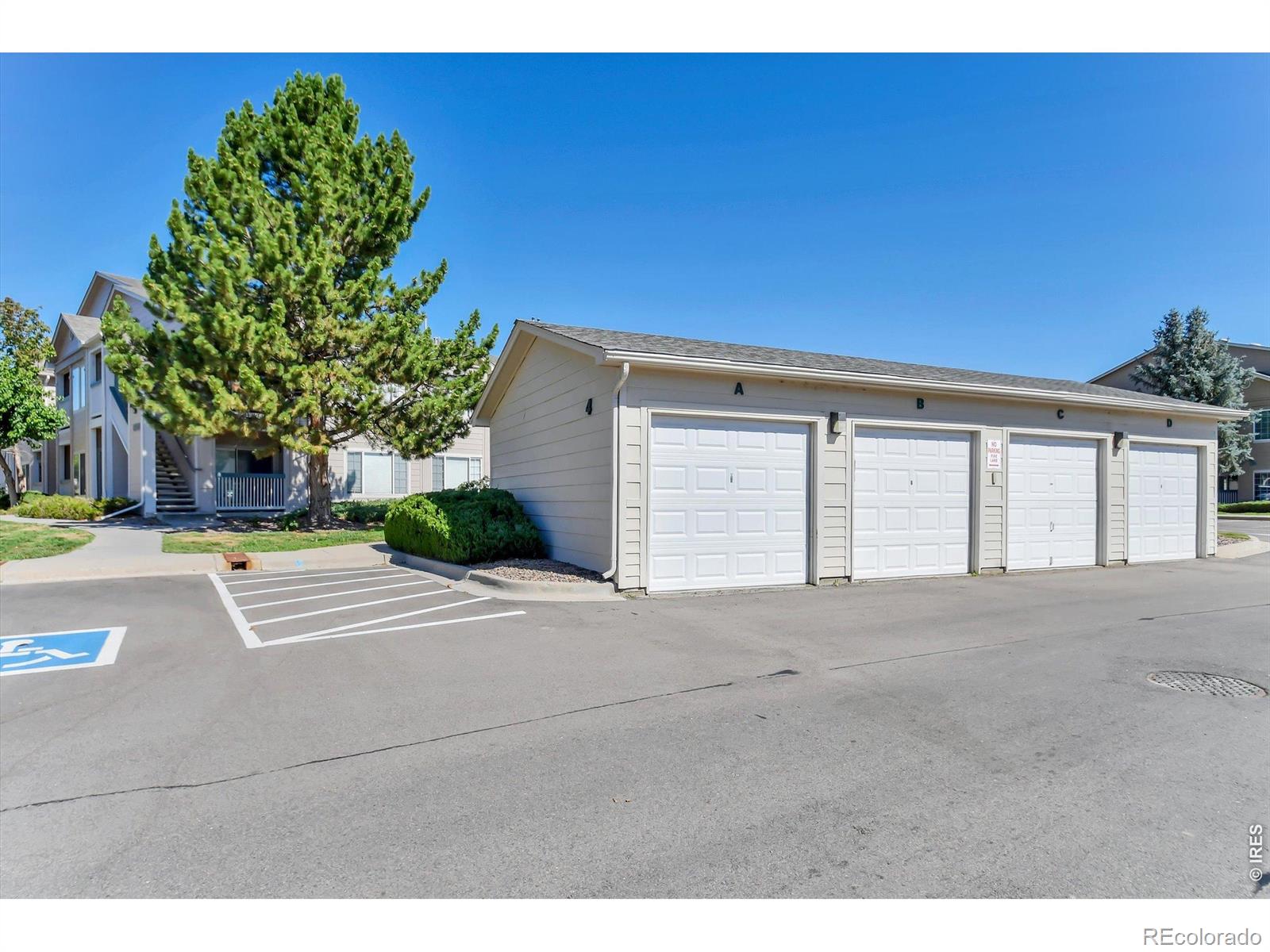 MLS Image #28 for 1070  opal street,broomfield, Colorado