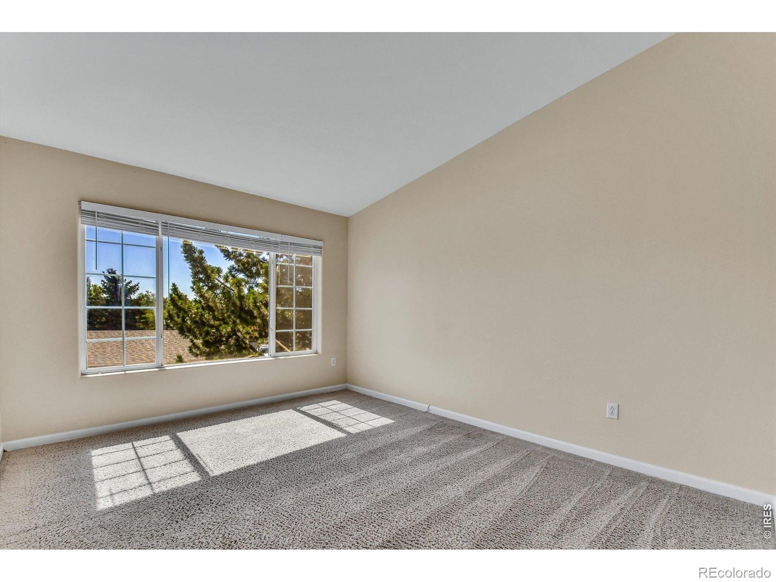 MLS Image #4 for 1070  opal street,broomfield, Colorado