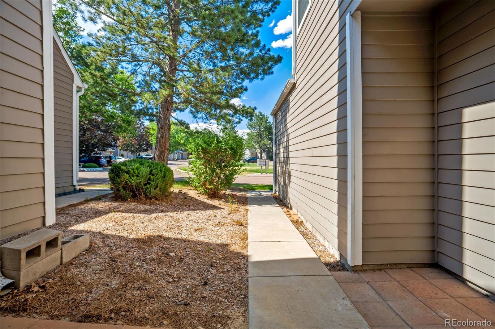MLS Image #3 for 2046  palm drive ,colorado springs, Colorado