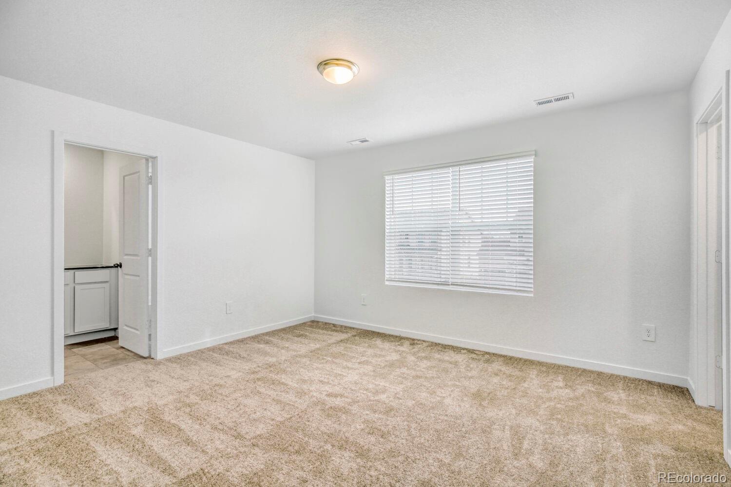 MLS Image #11 for 3005  ironton drive,loveland, Colorado