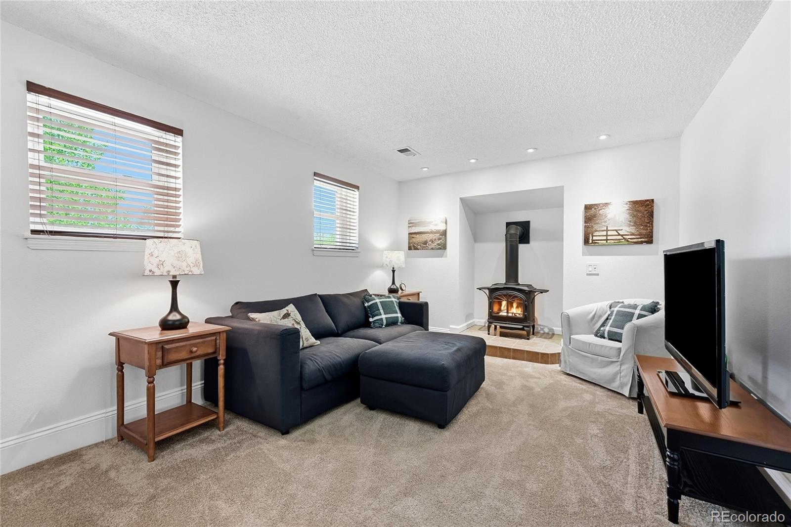 MLS Image #15 for 6721  blue jay drive,parker, Colorado