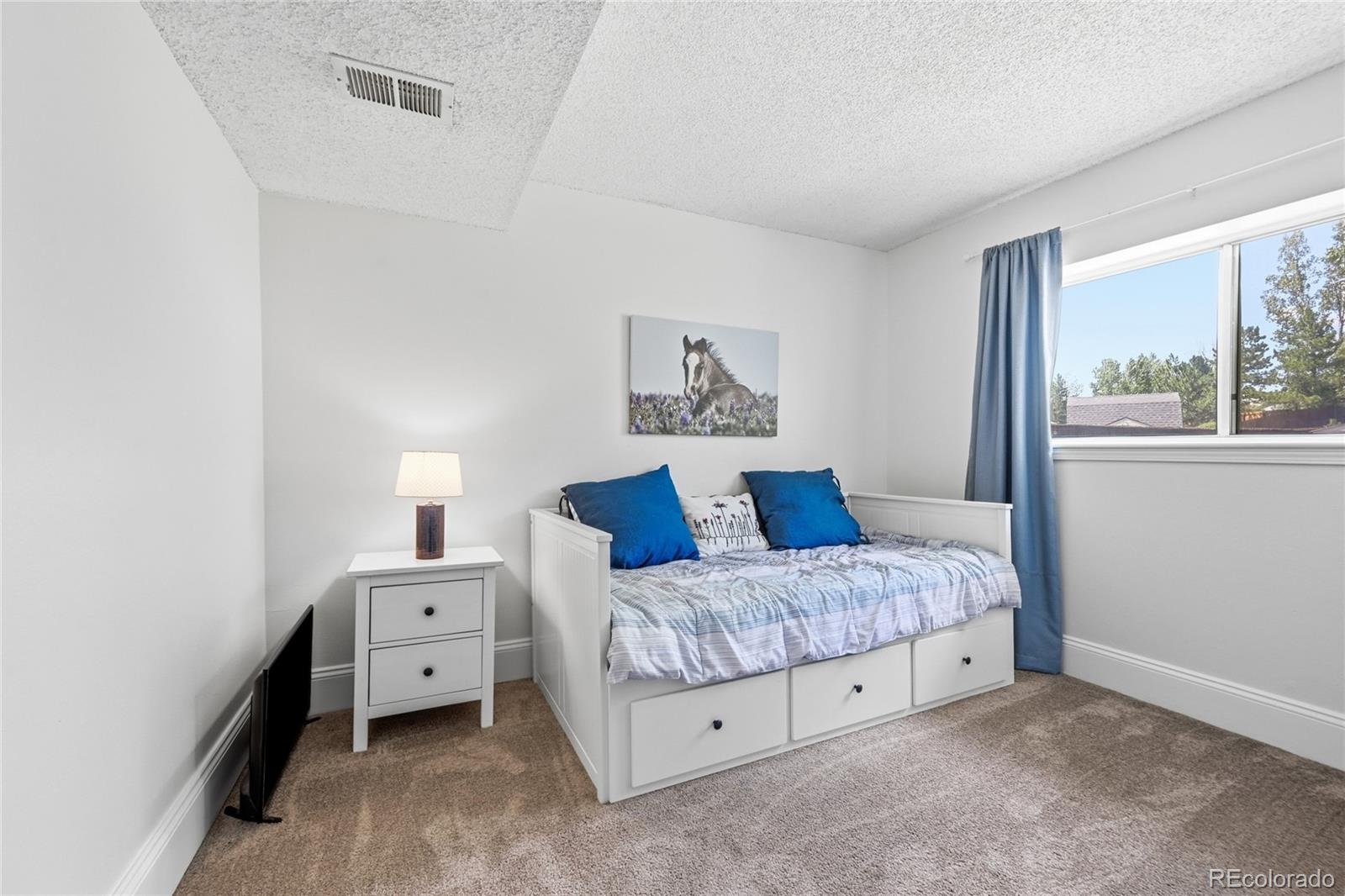 MLS Image #19 for 6721  blue jay drive,parker, Colorado