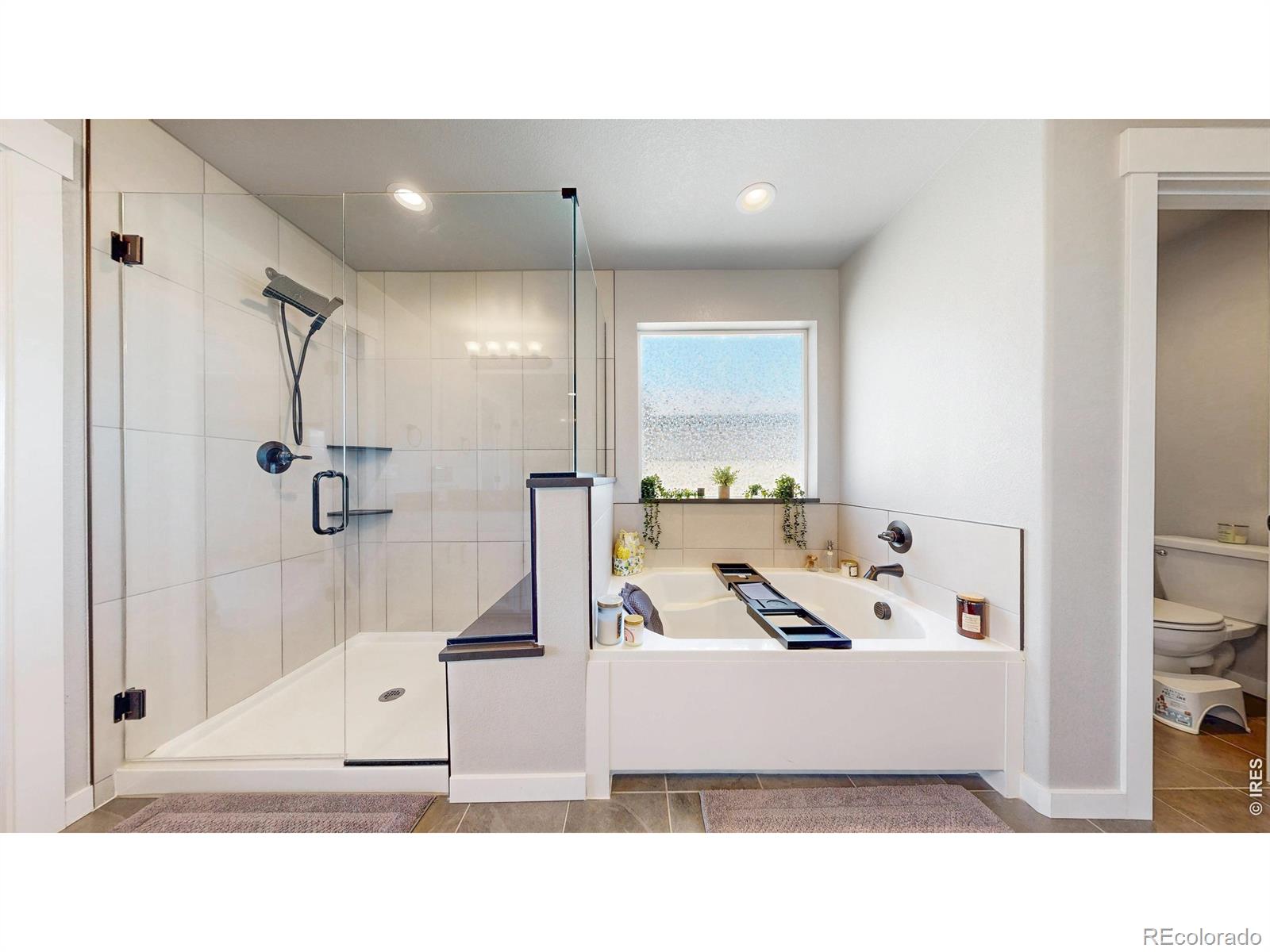 MLS Image #20 for 2092  falling leaf drive,windsor, Colorado