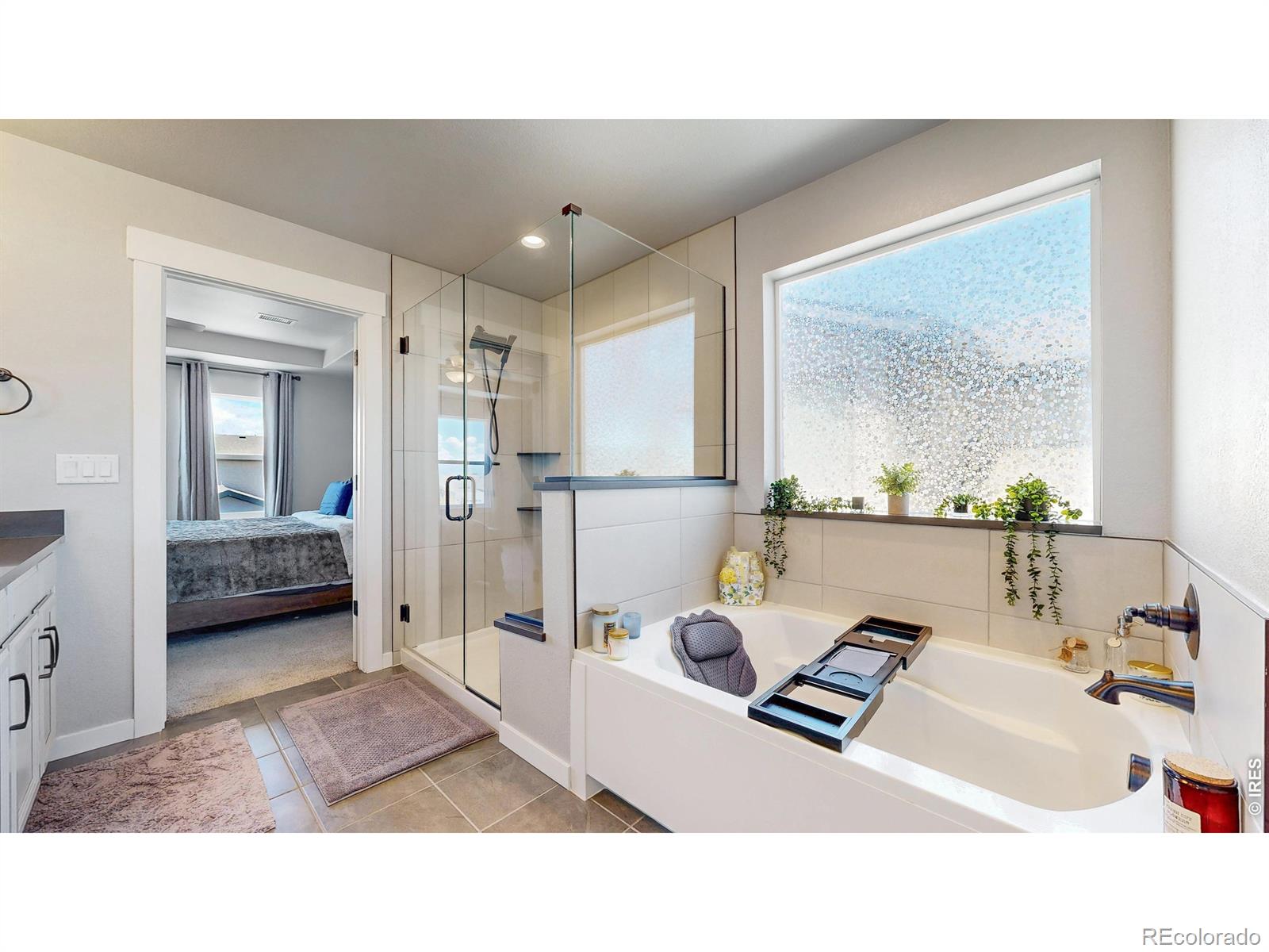 MLS Image #21 for 2092  falling leaf drive,windsor, Colorado
